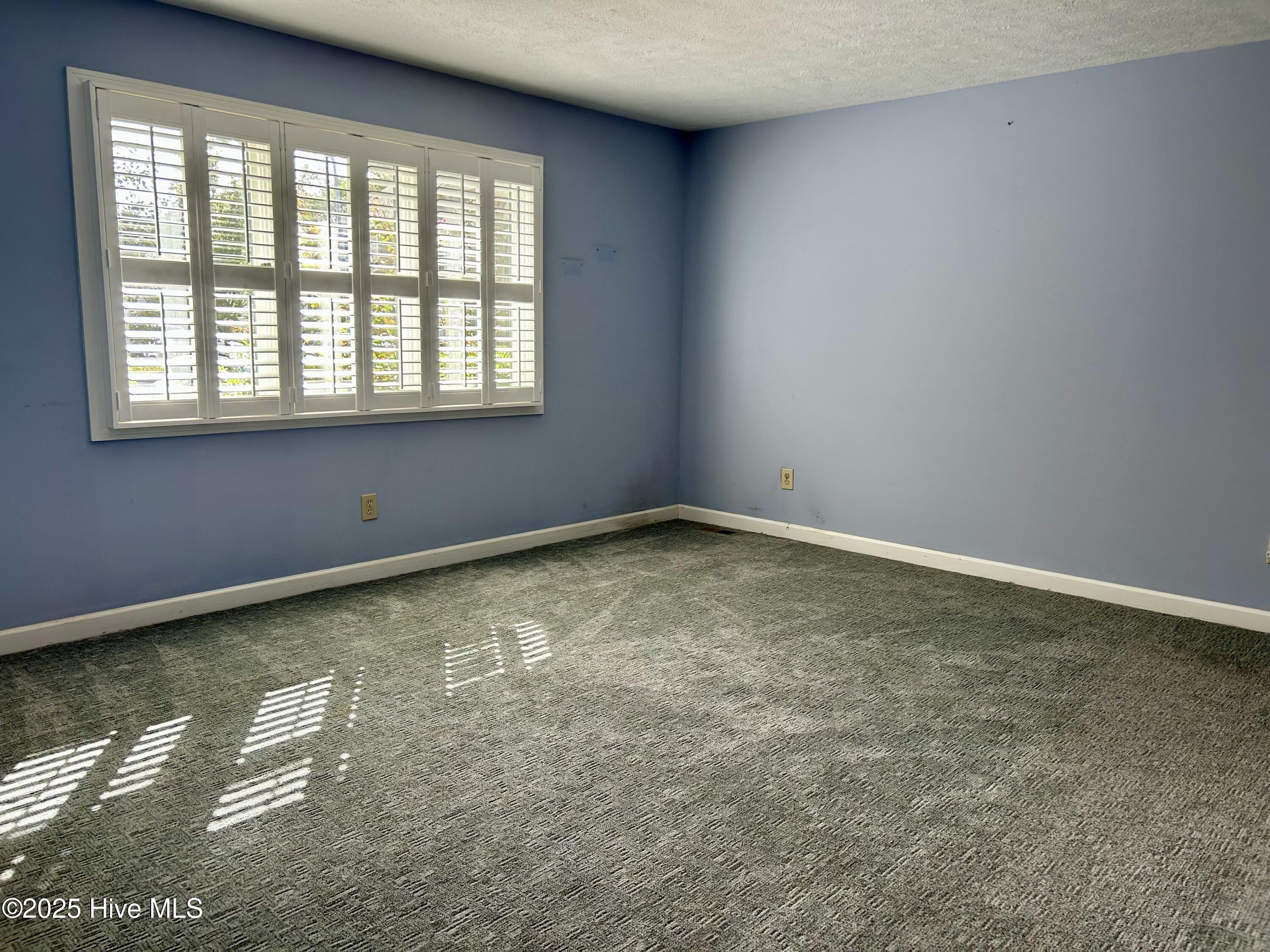 100532166 | Photo 16