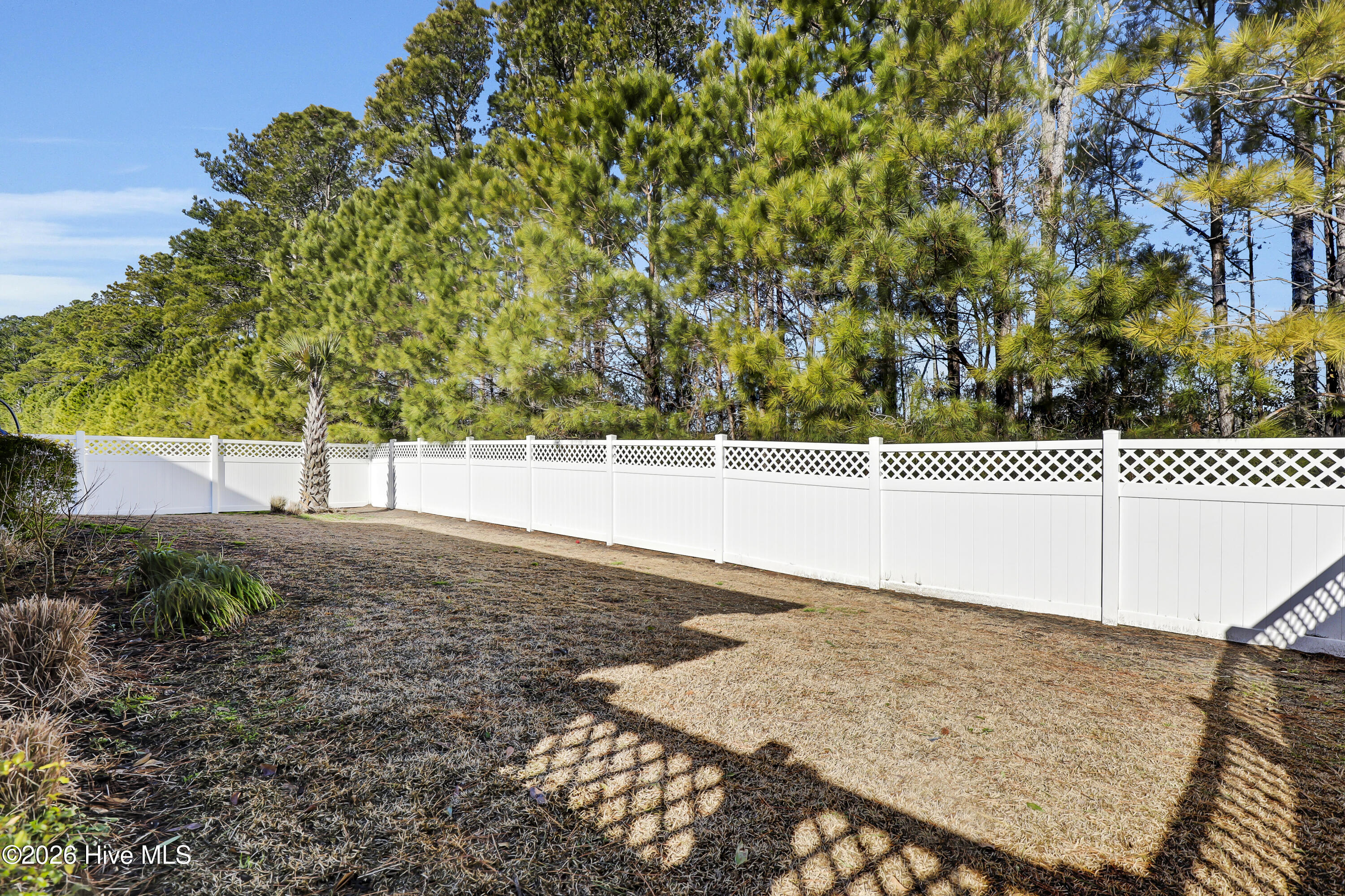 100556741 | Photo 46