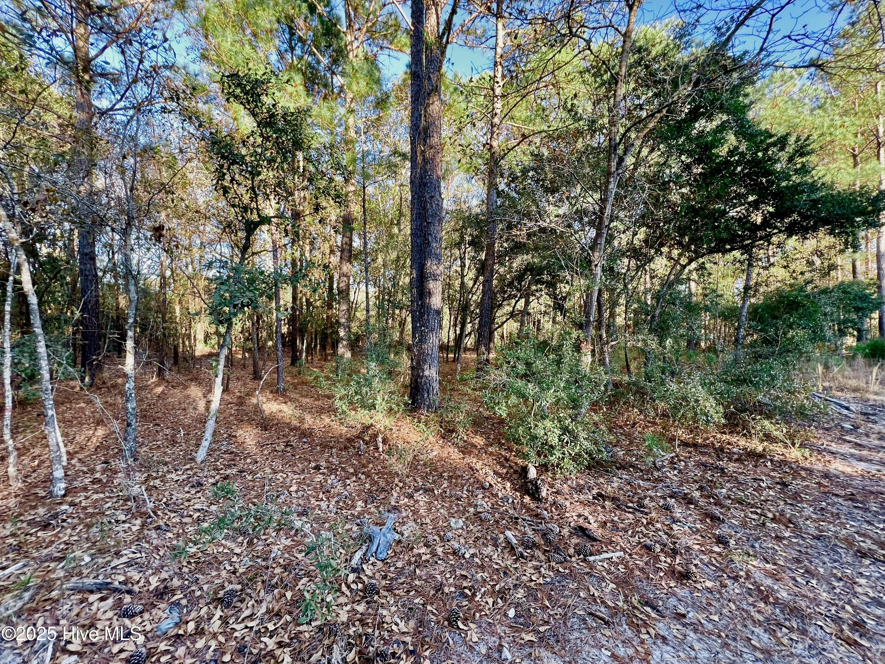 100536501 | Photo 12