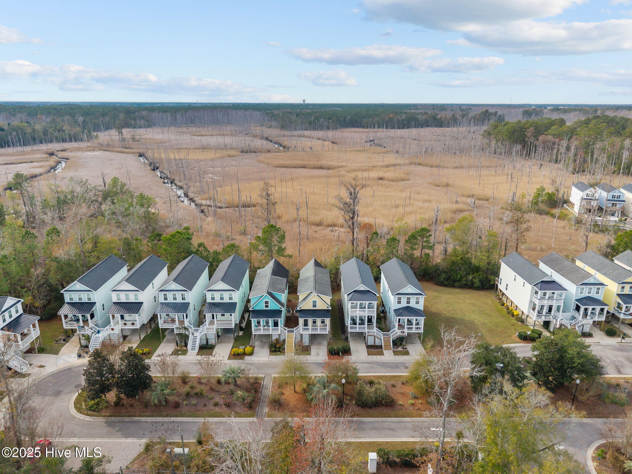 1274 Charleston Common Drive, Leland, NC, 28451