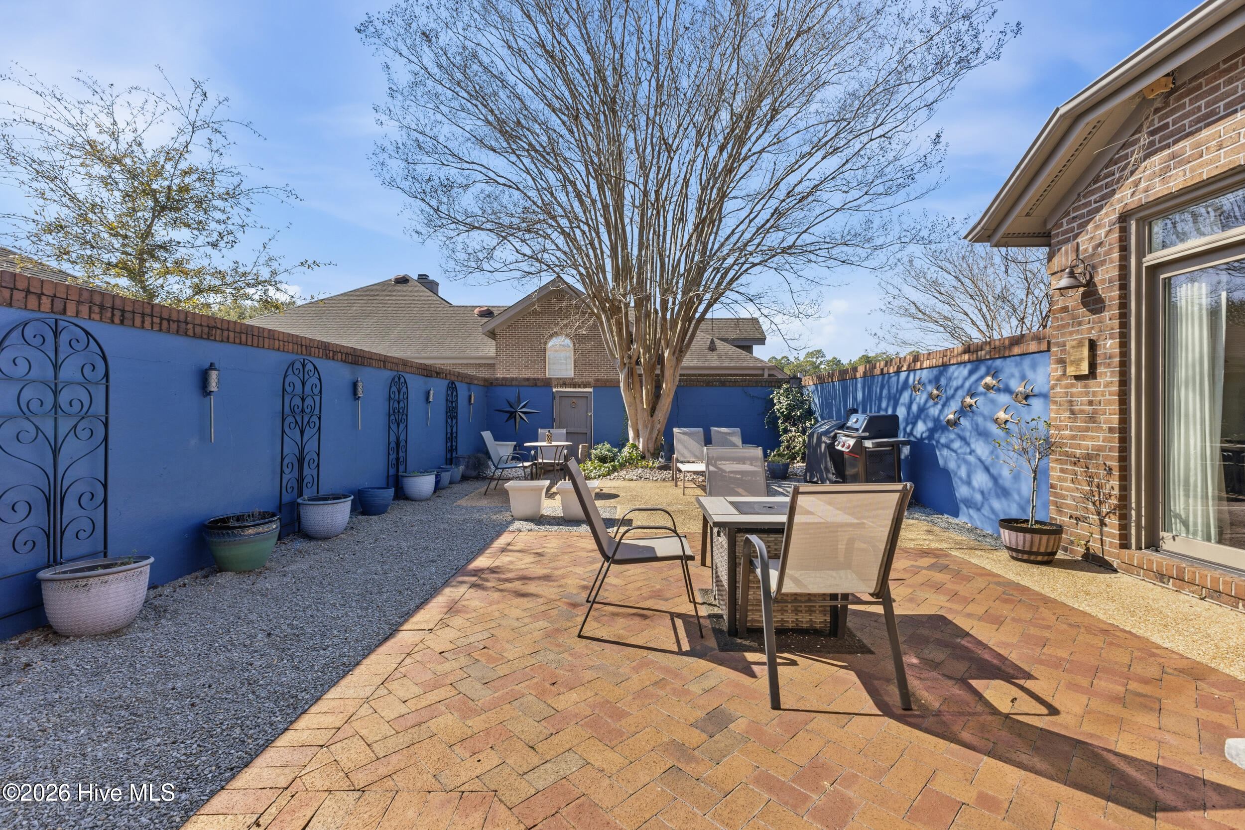 100554124 | Photo 24