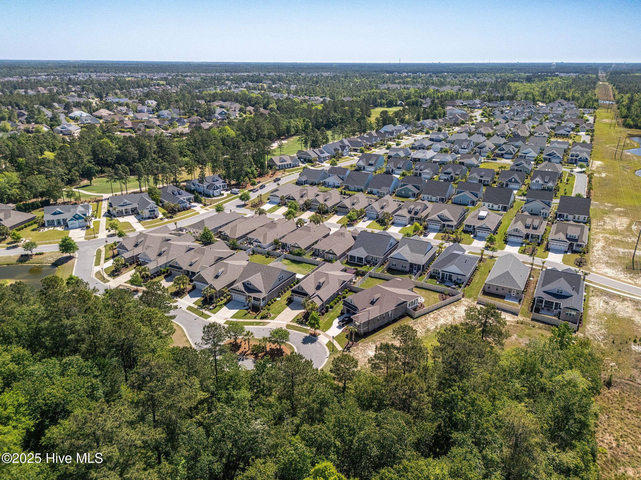 100540616 | Photo 60