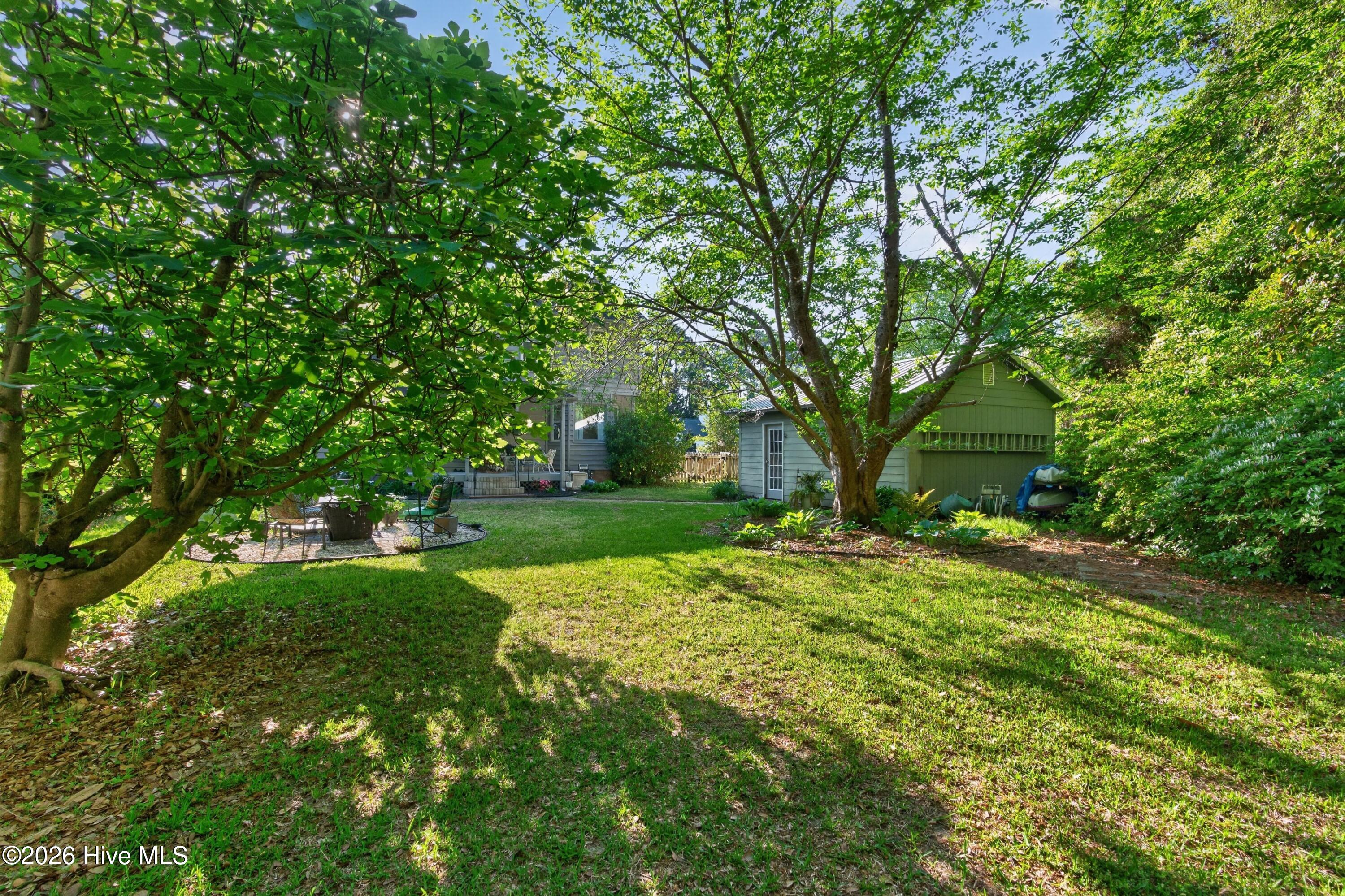 100569160 | Photo 42