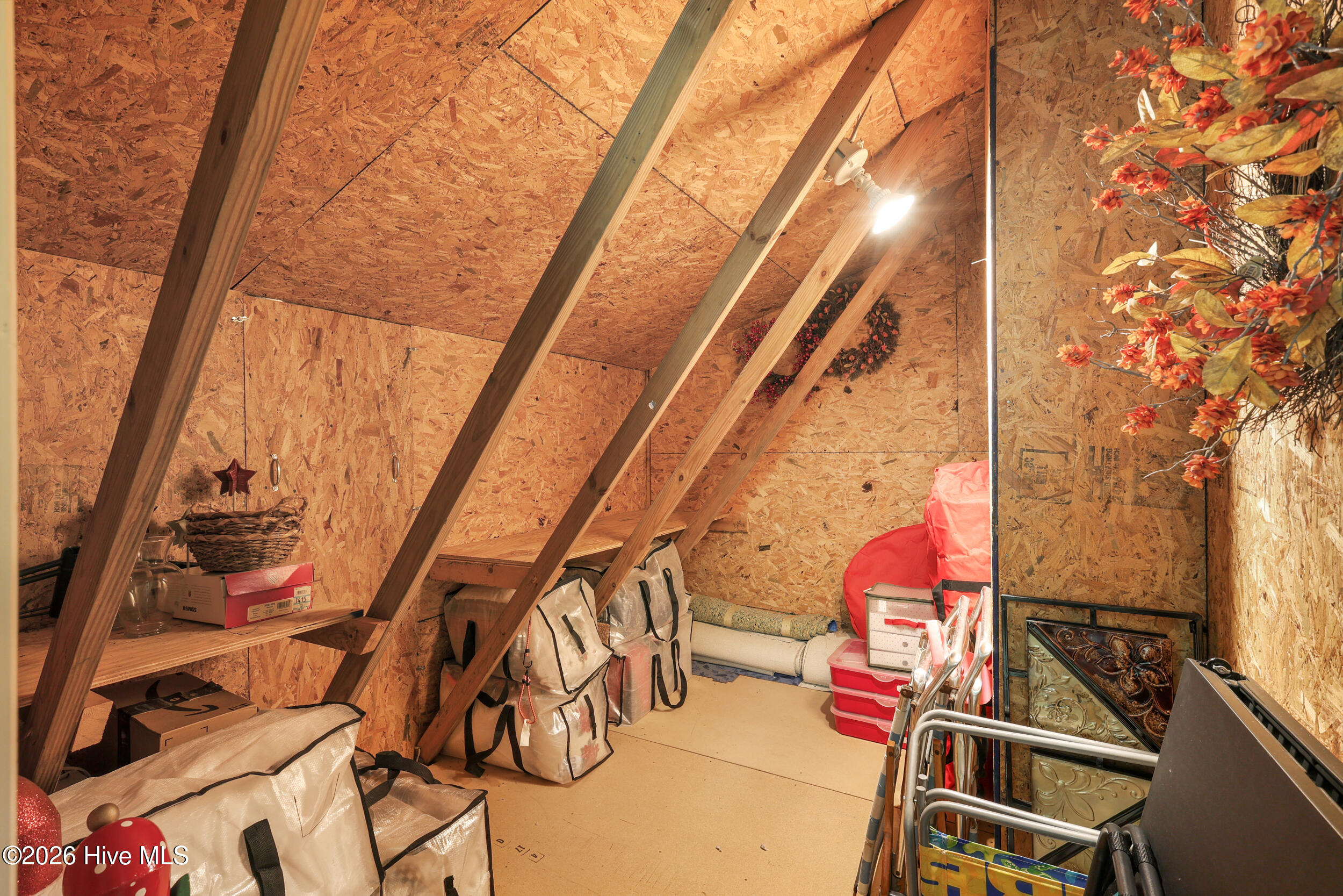 100557984 | Photo 29