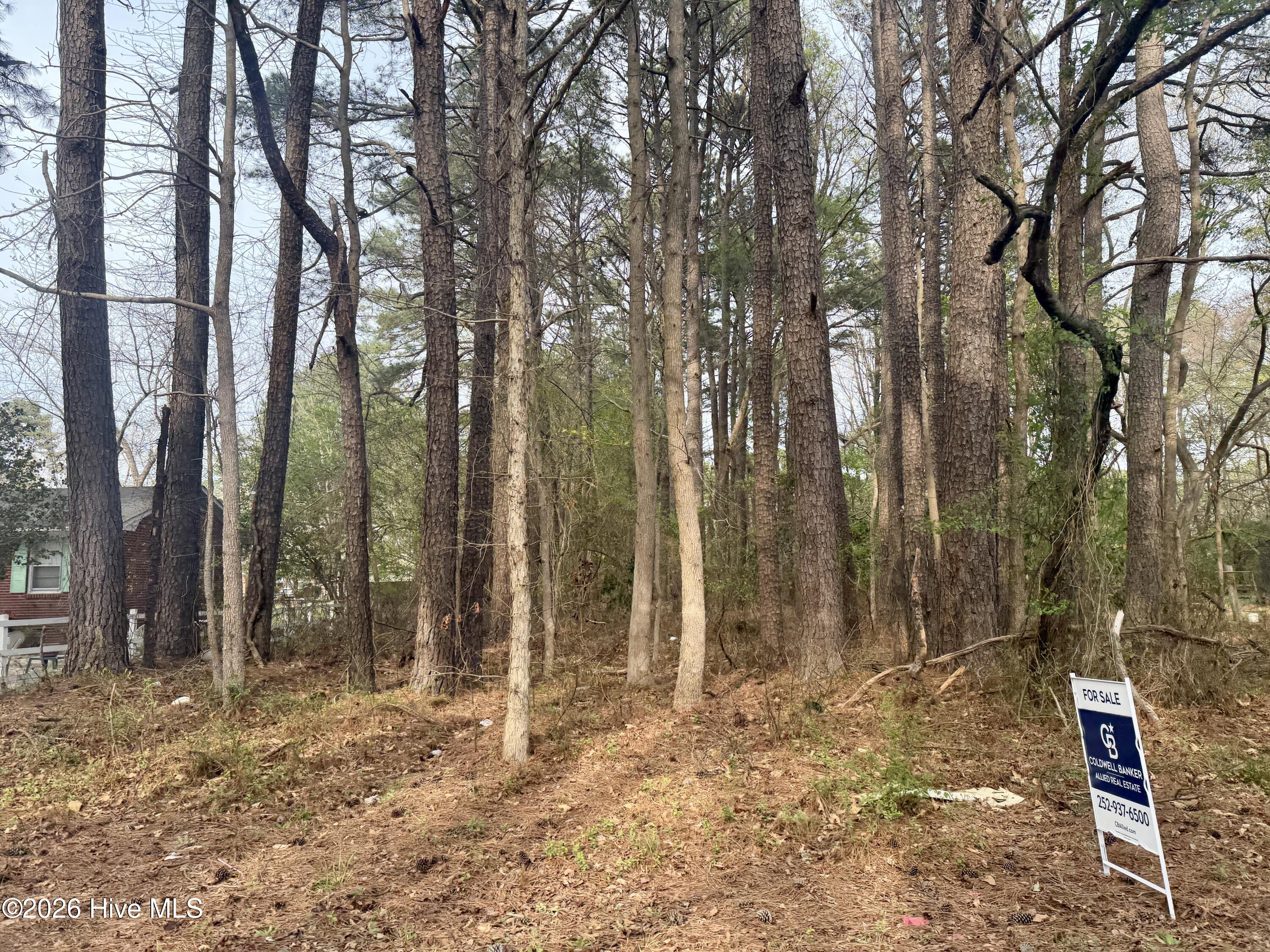 307 Viverette, Battleboro, North Carolina, 0 ,Residential Lot,For sale,Viverette,100563086 307 Viverette, Battleboro, North Carolina, 0 ,Residential Lot,For sale,Viverette,100563086