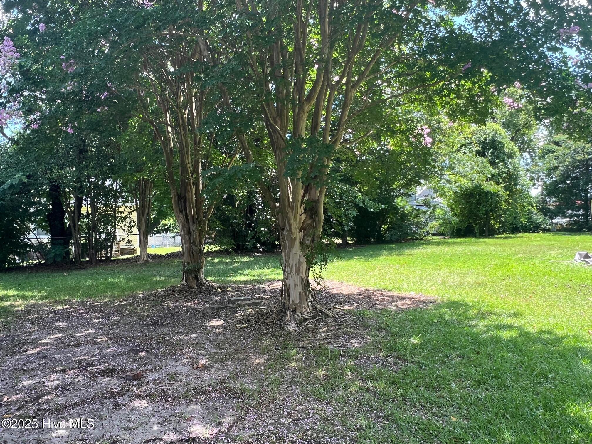 Homes for sale in Williamston, NC | 413 W Church St, Williamston, NC 27892 | MLS# 100522040