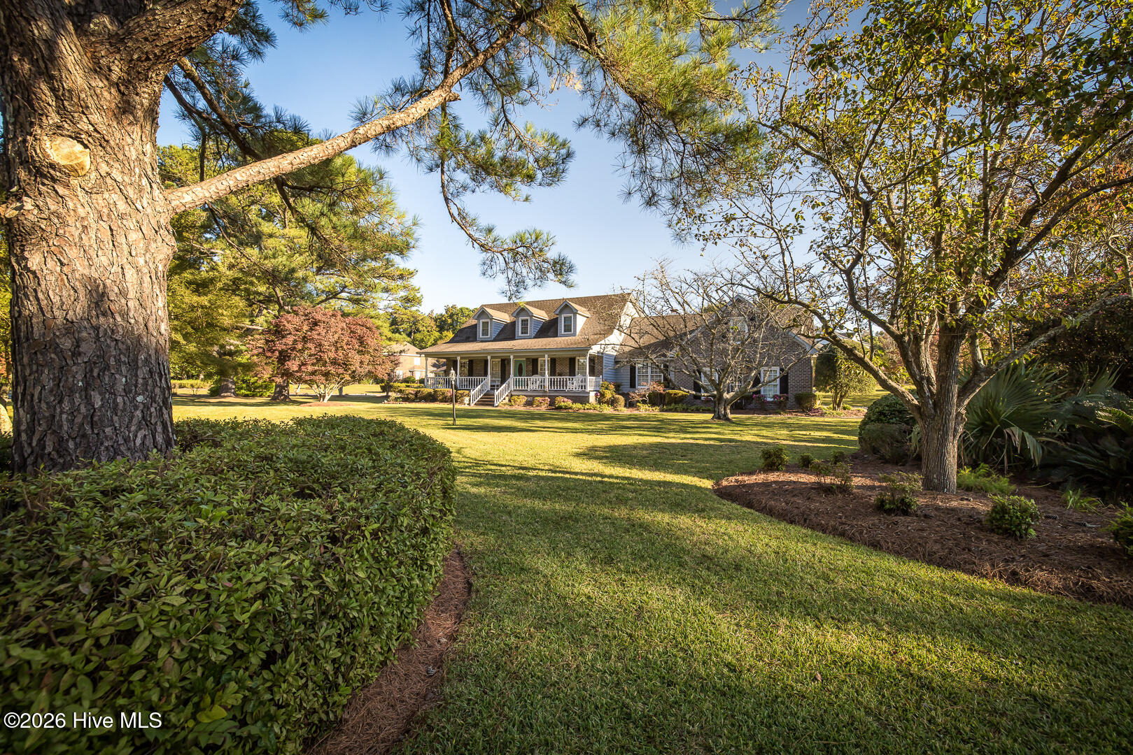 100570429 | Photo 48