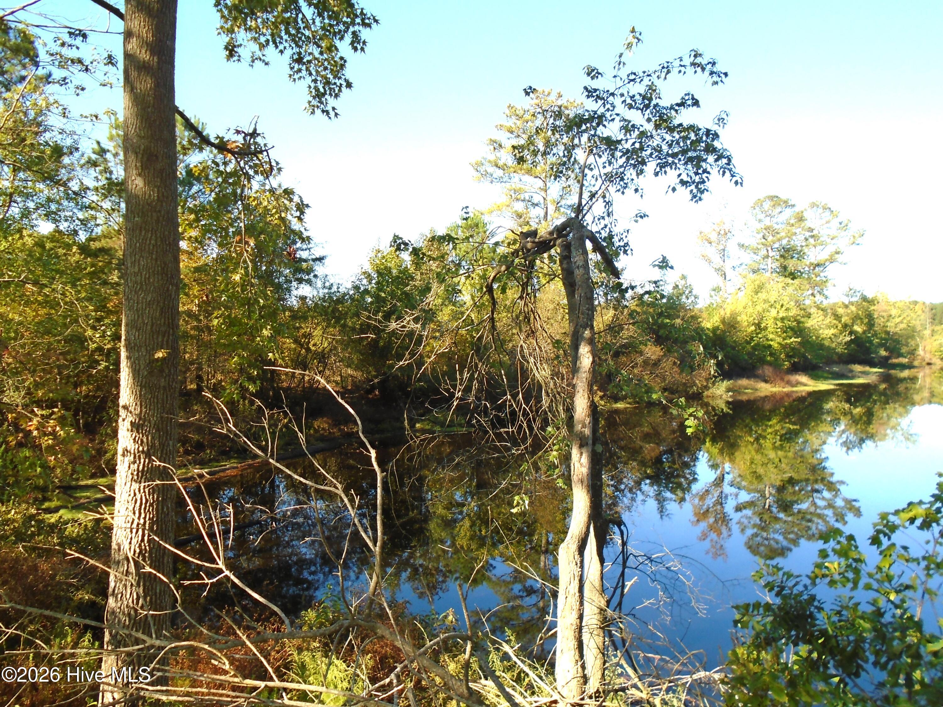 Pond View