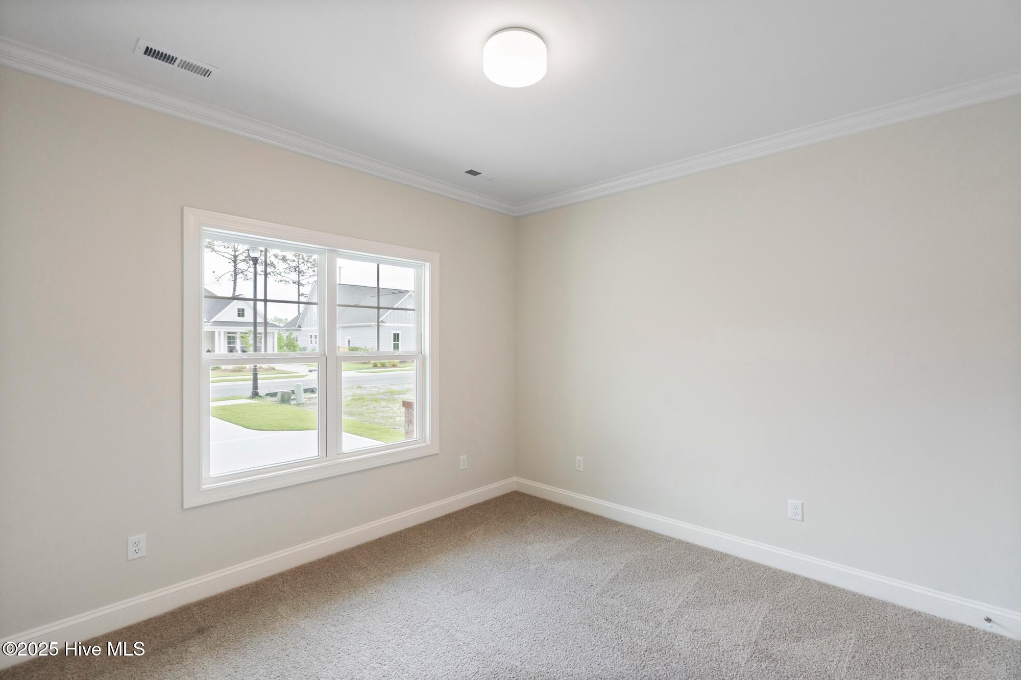 2209 Condor Run (Lot 49), Wilmington, NC 28409 – photo 21: mls-DSC00540