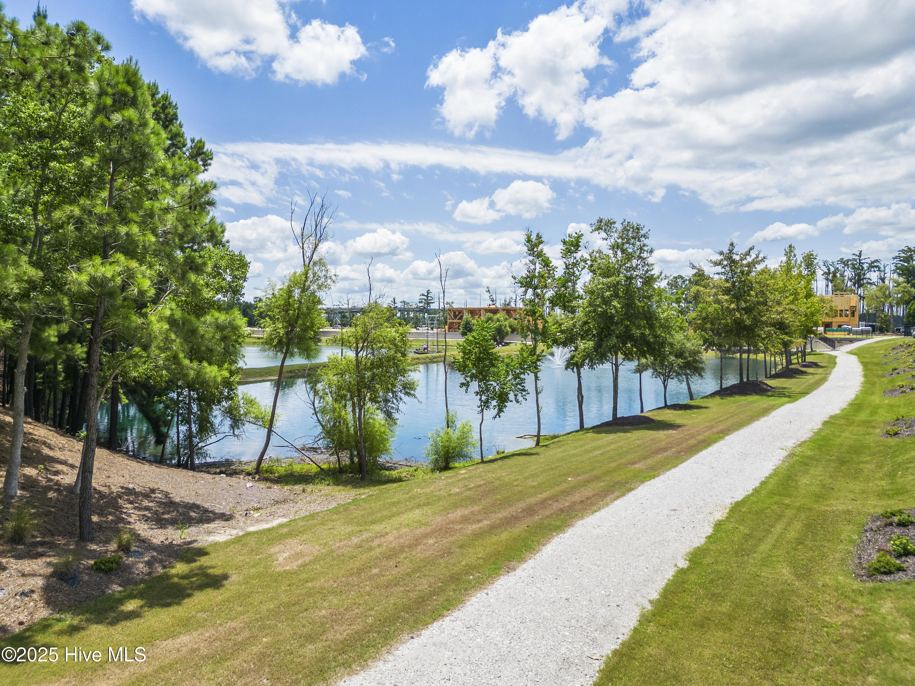 100545515 | Photo 14