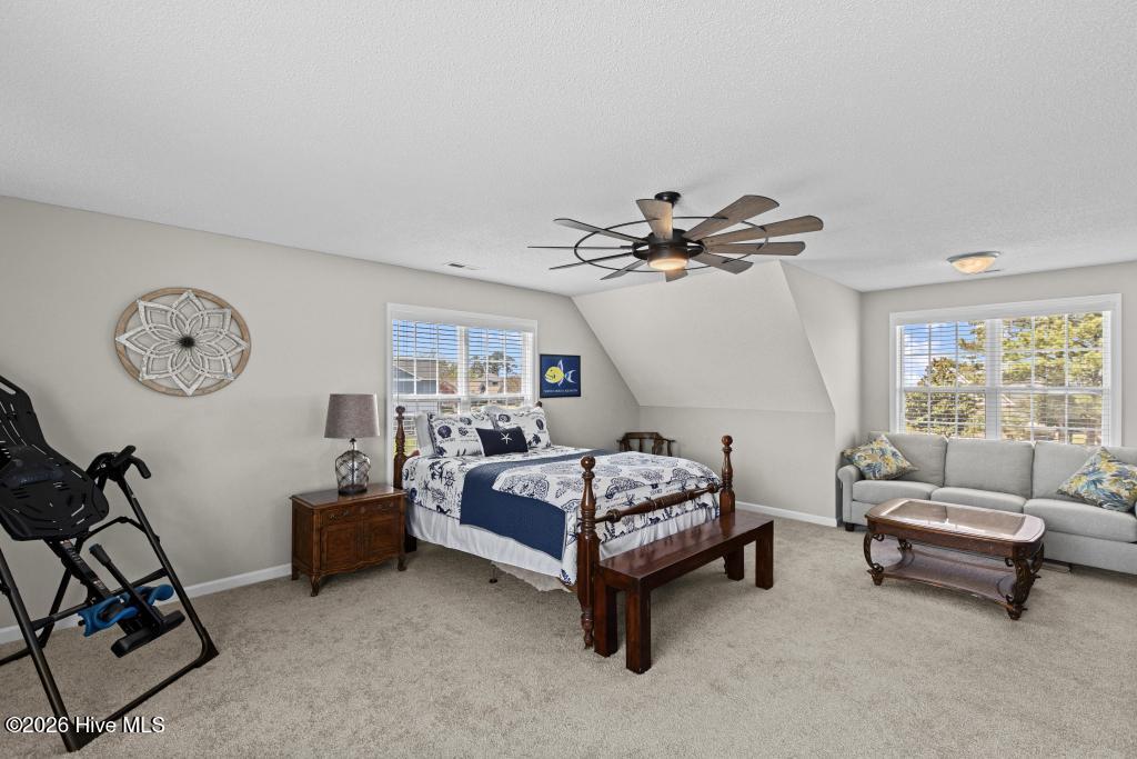 100564951 | Photo 24