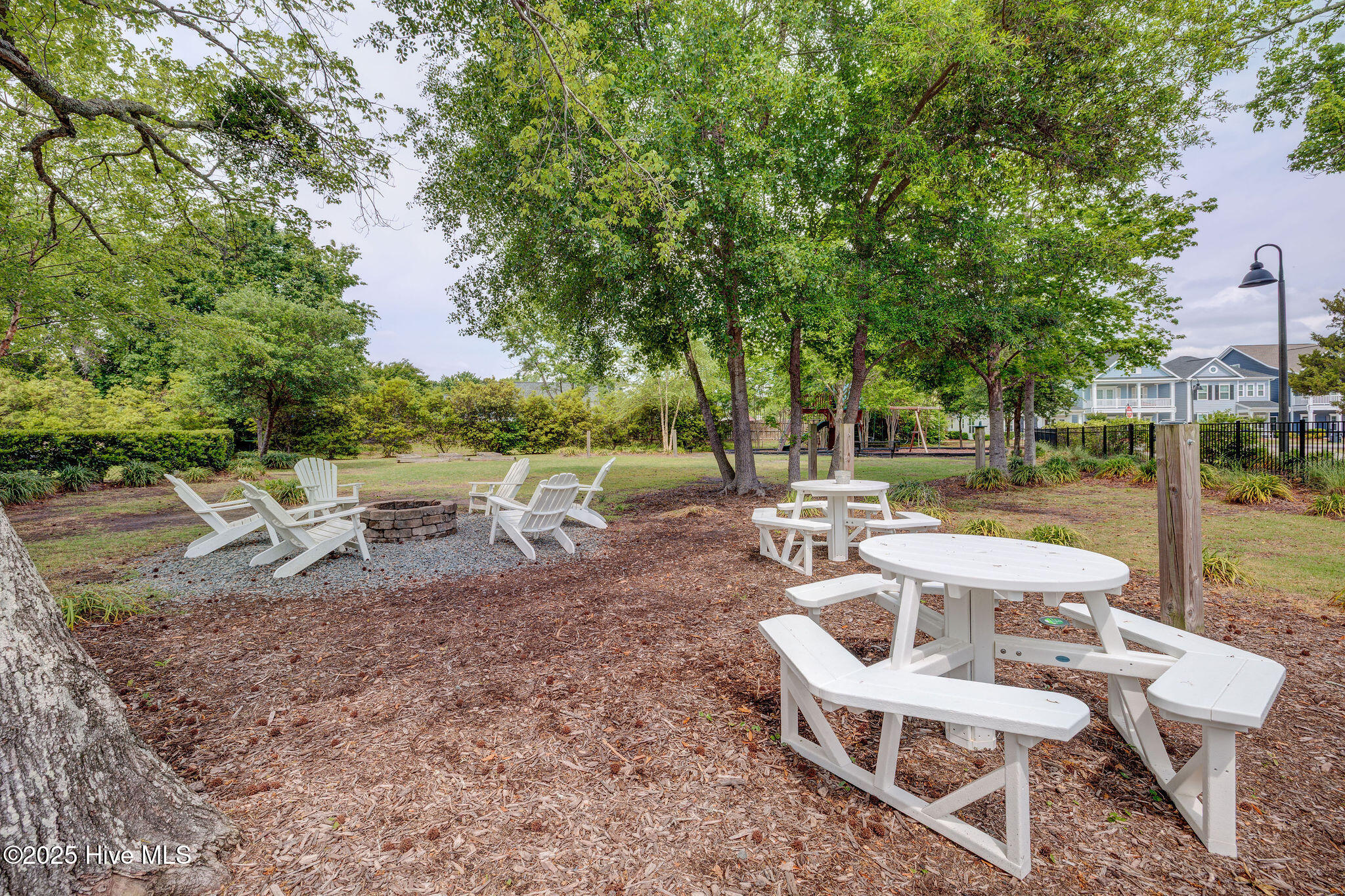 100529833 | Photo 48