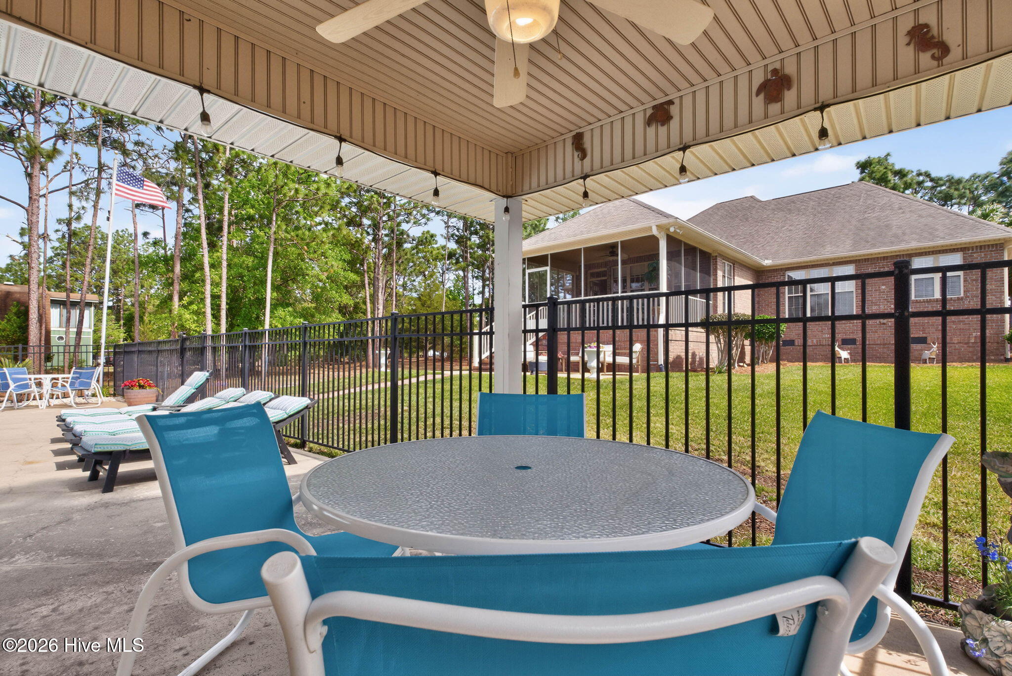 100569405 | Photo 49