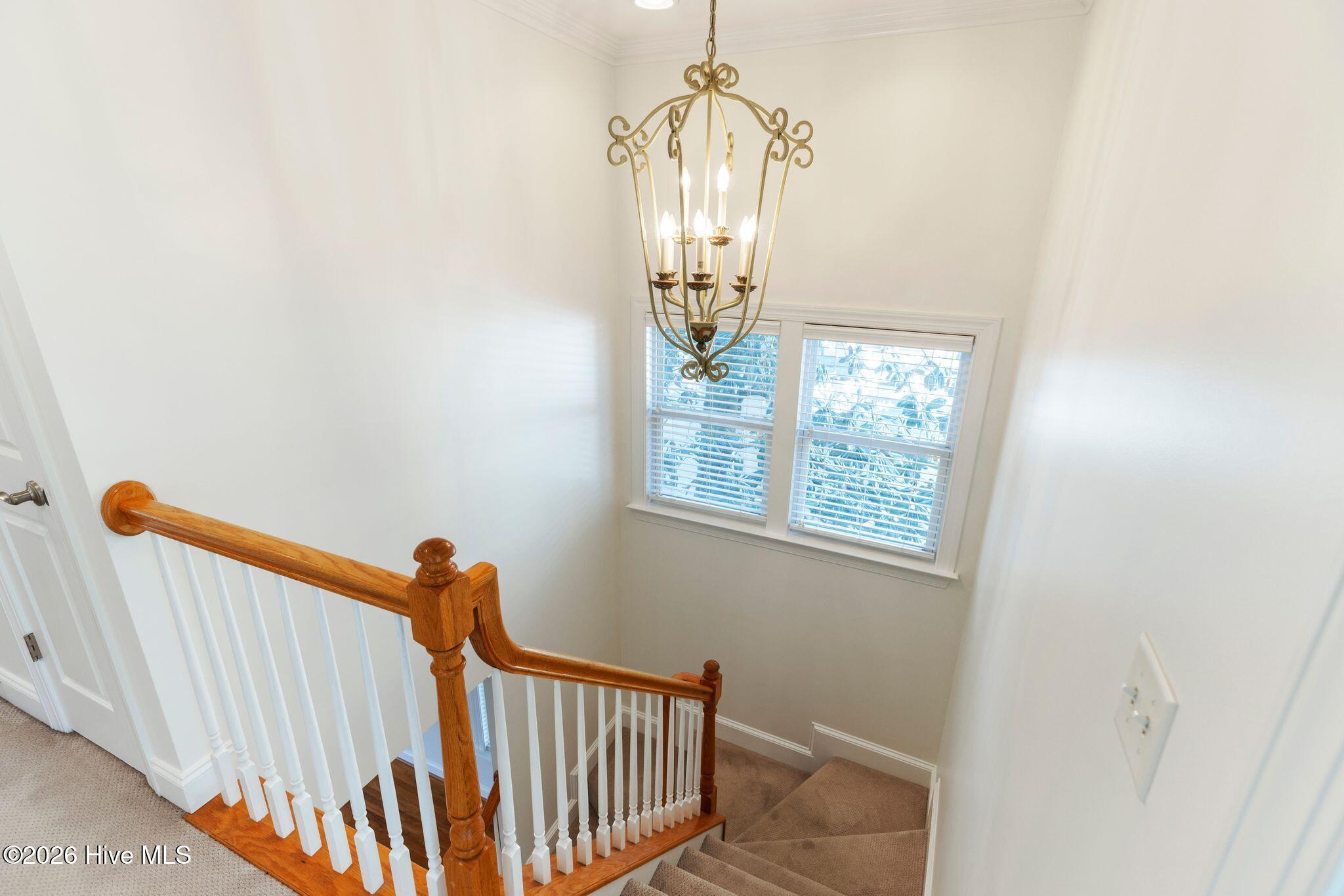 100560146 | Photo 21