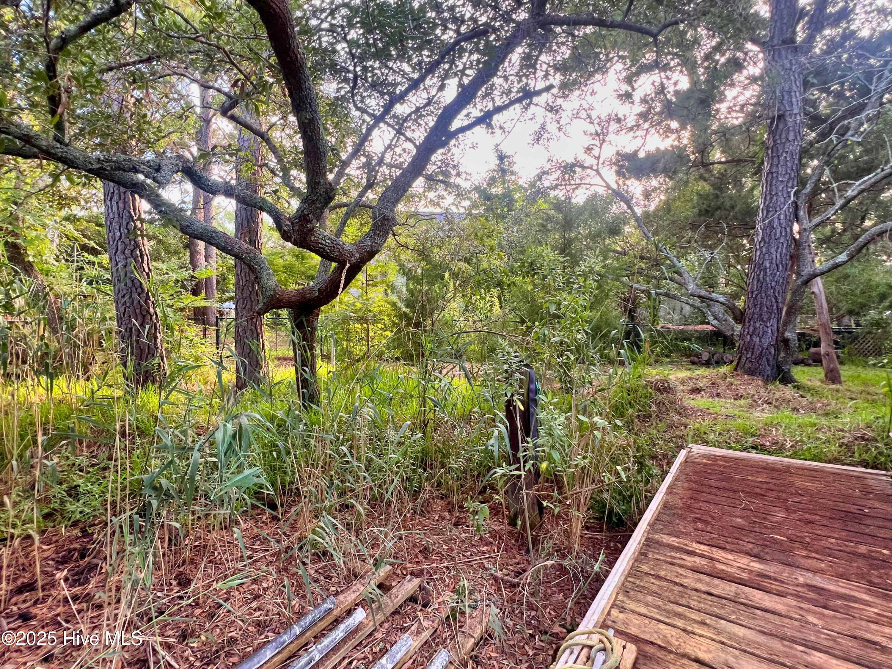 100521049 | Photo 44