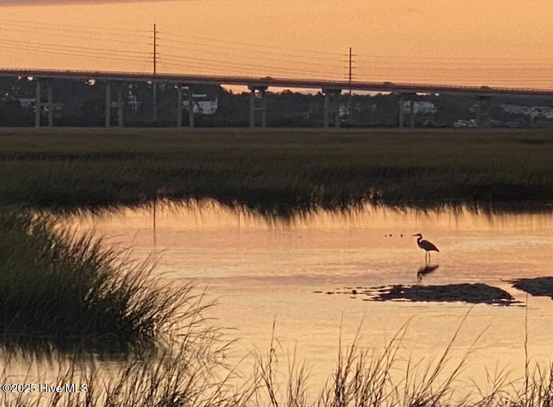 100538347 | Photo 20