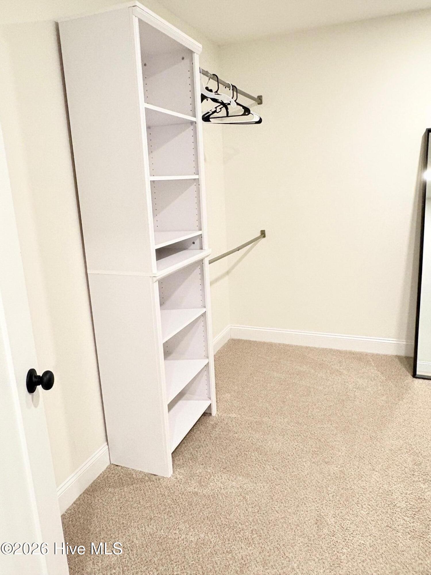 100559102 | Photo 37