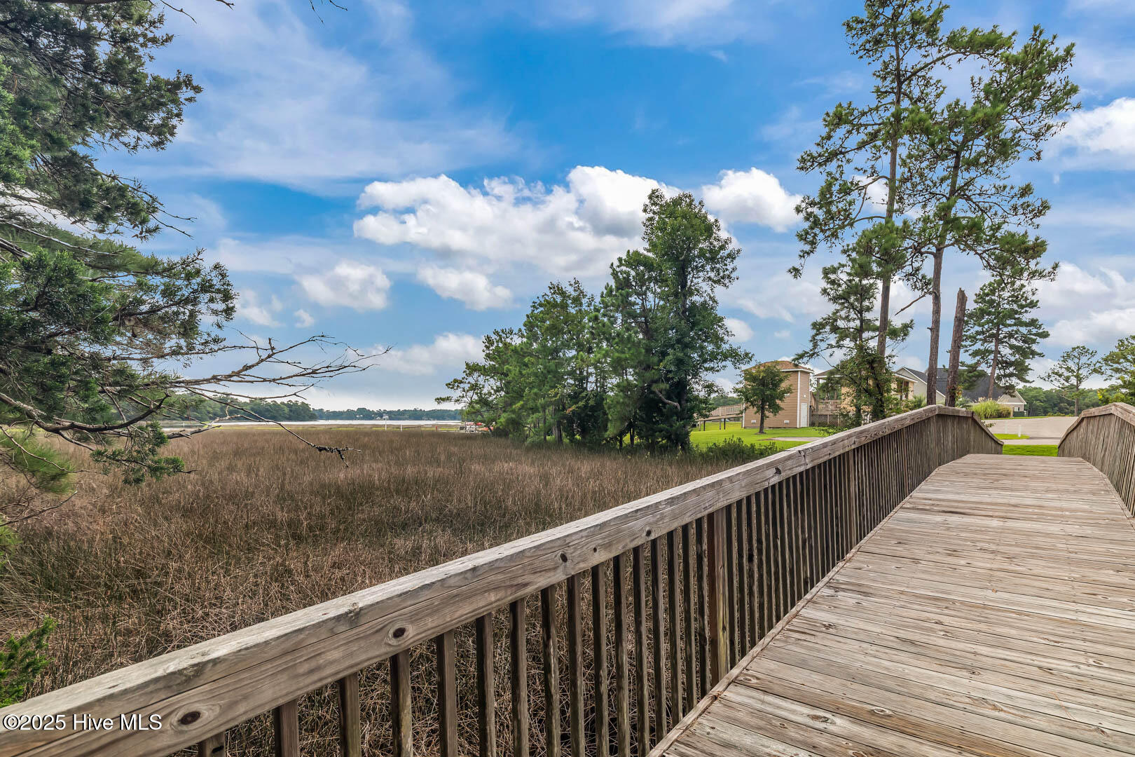 100544097 | Photo 72