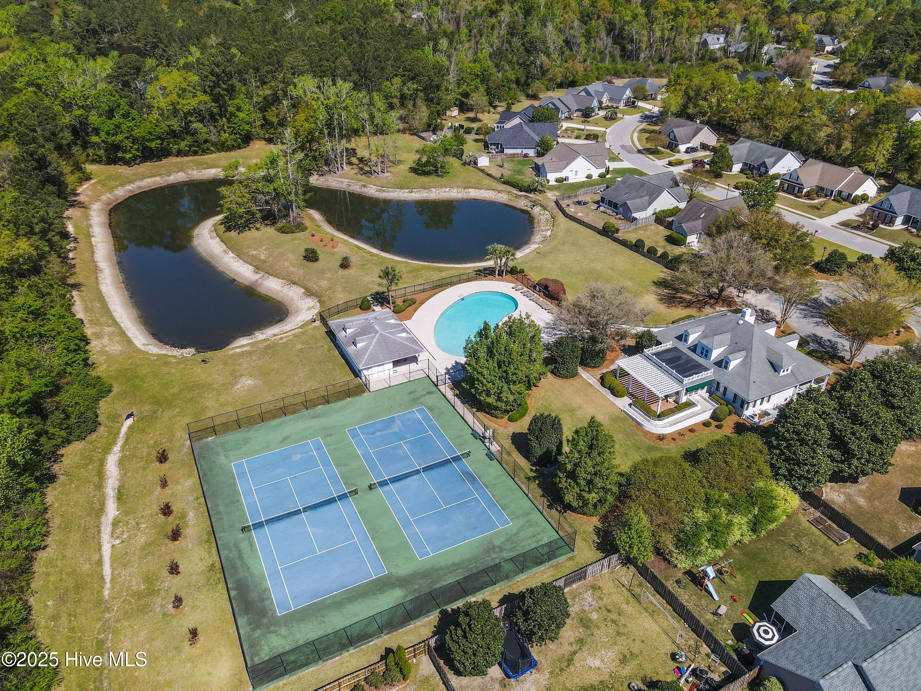 100509551 | Photo 46