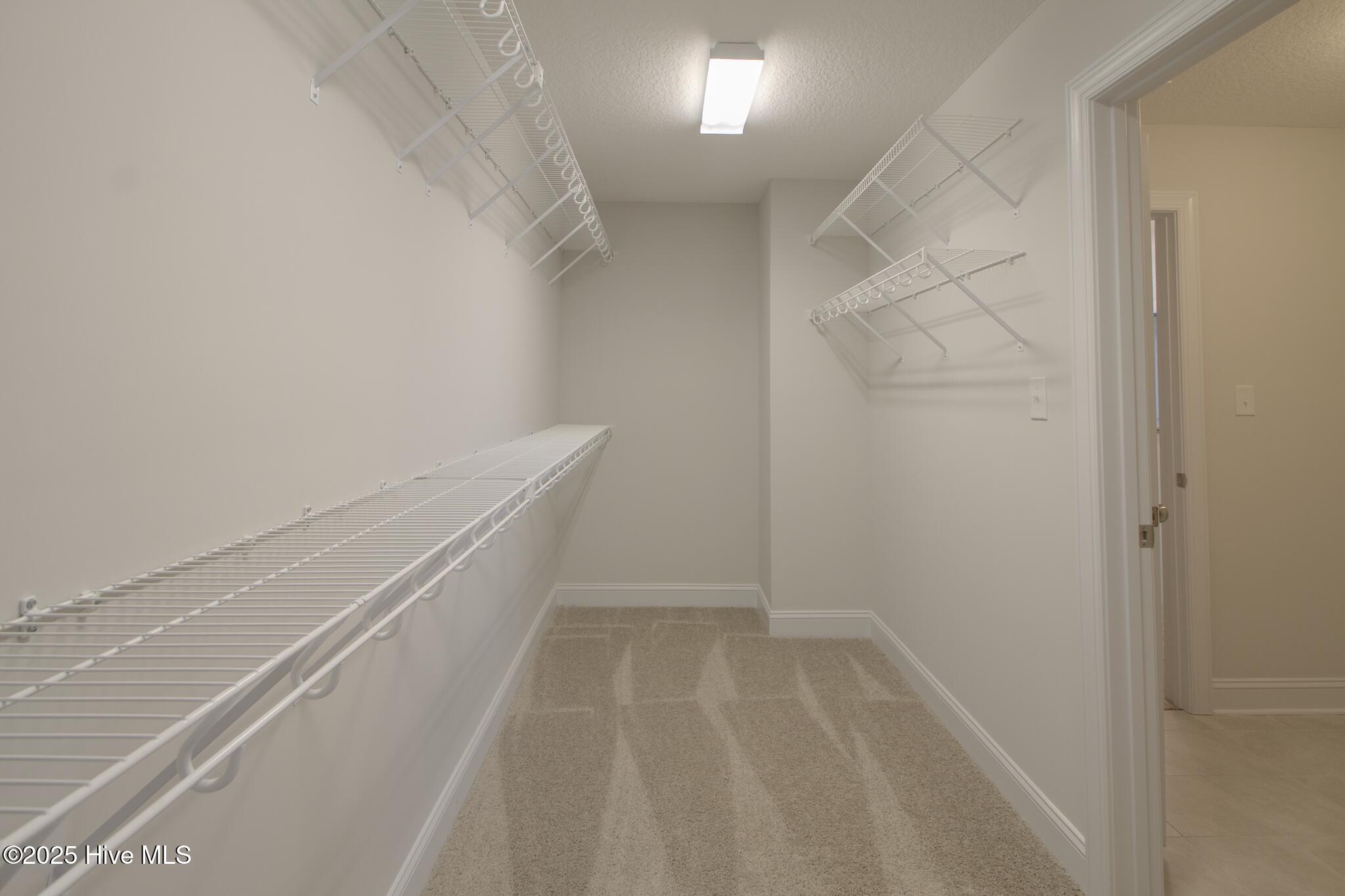 100497417 | Photo 23