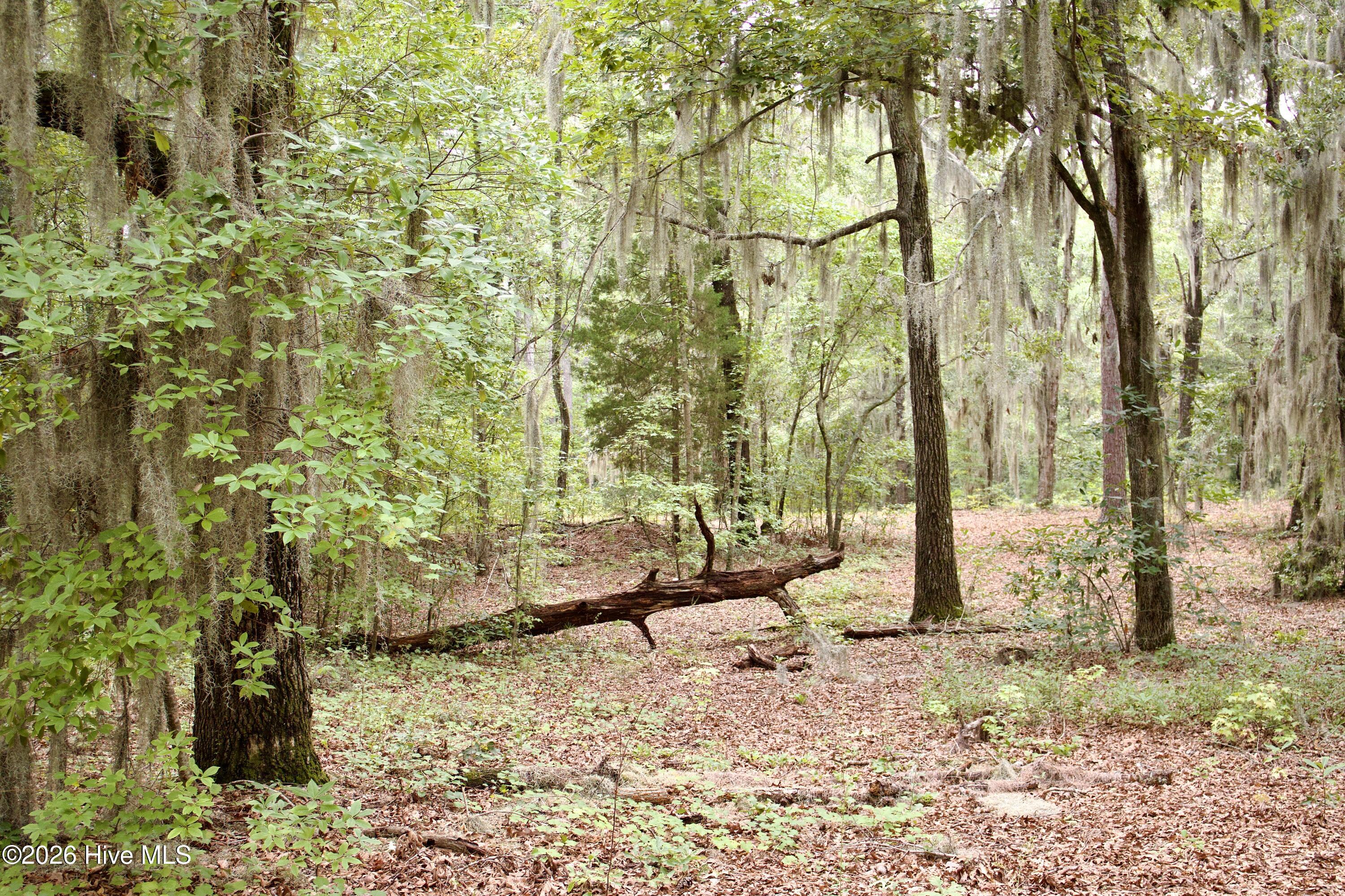 385 Sand Ridge Road,New Bern