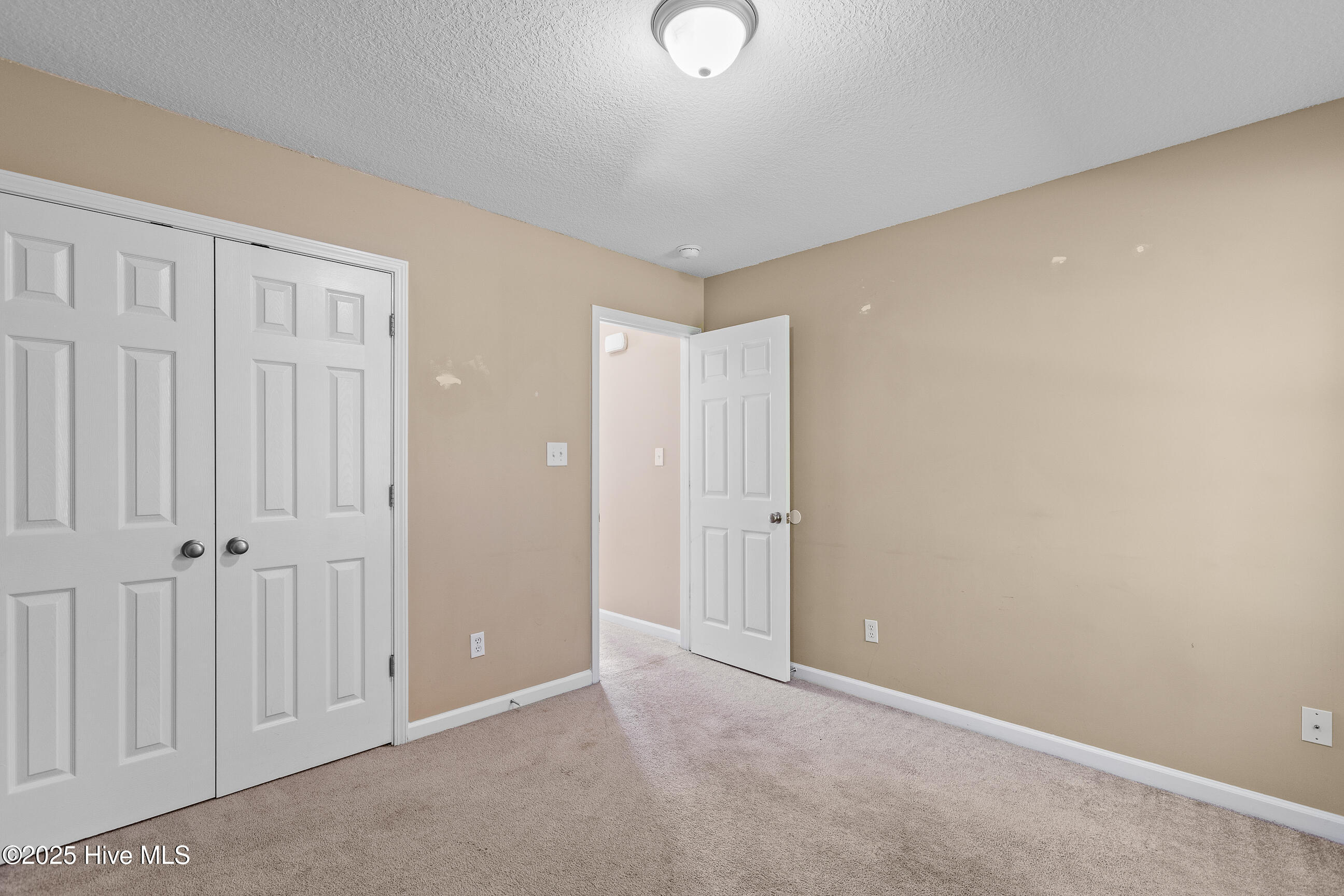 100541118 | Photo 20