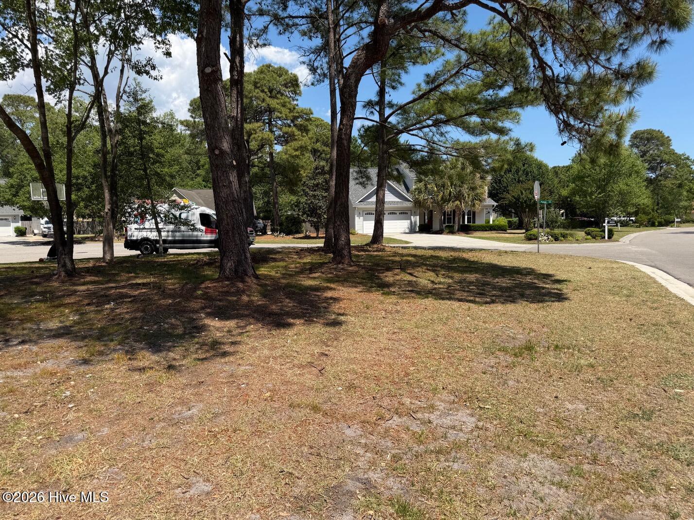 100568177 | Photo 15