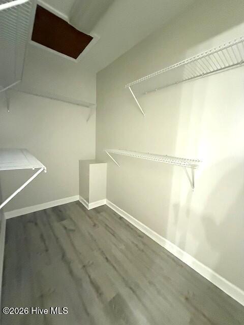 100555150 | Photo 25