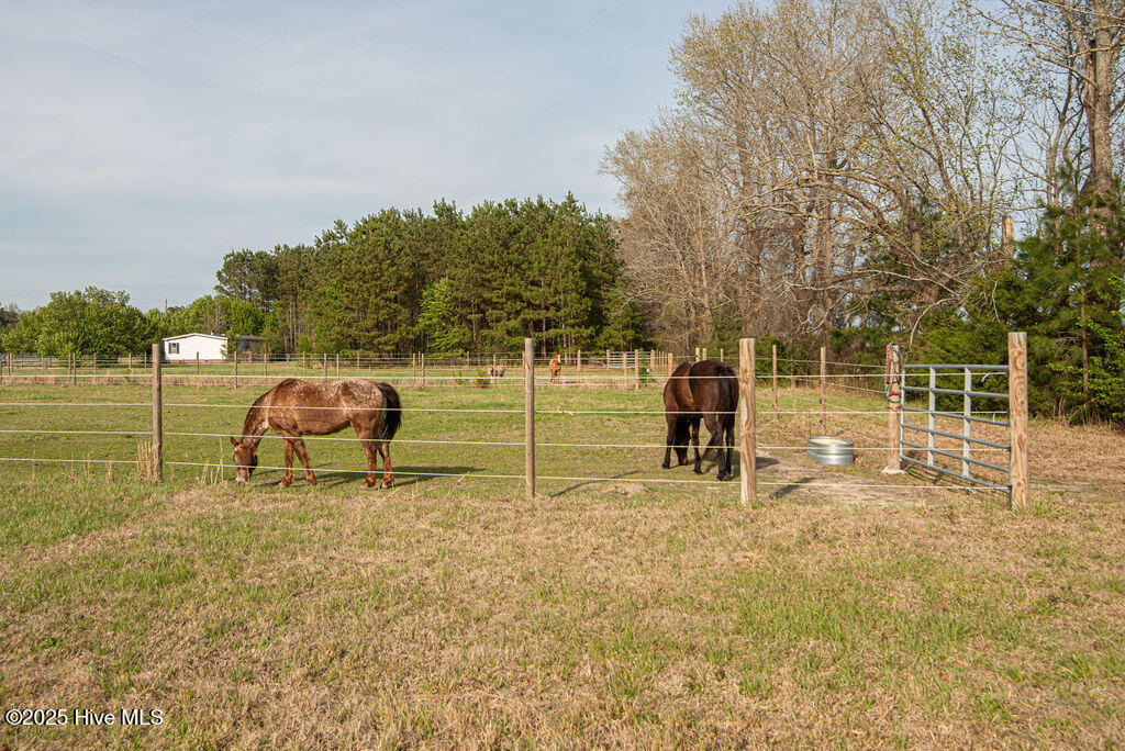 1560 White Oak River Road,Maysville