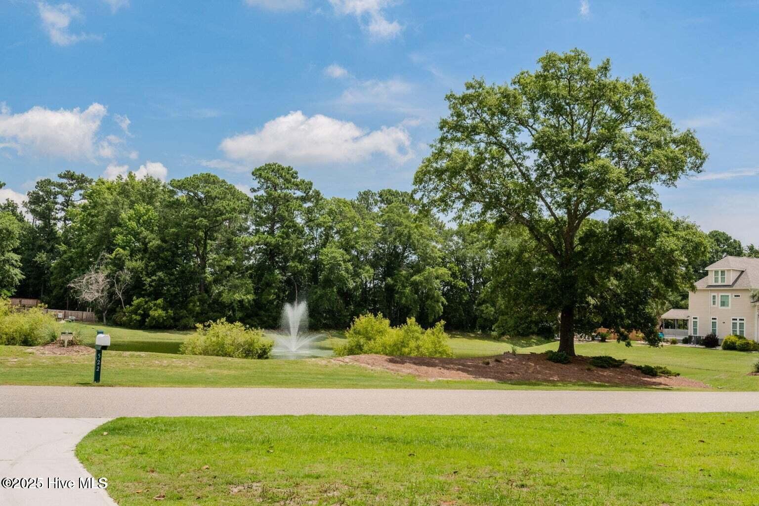 100538415 | Photo 24