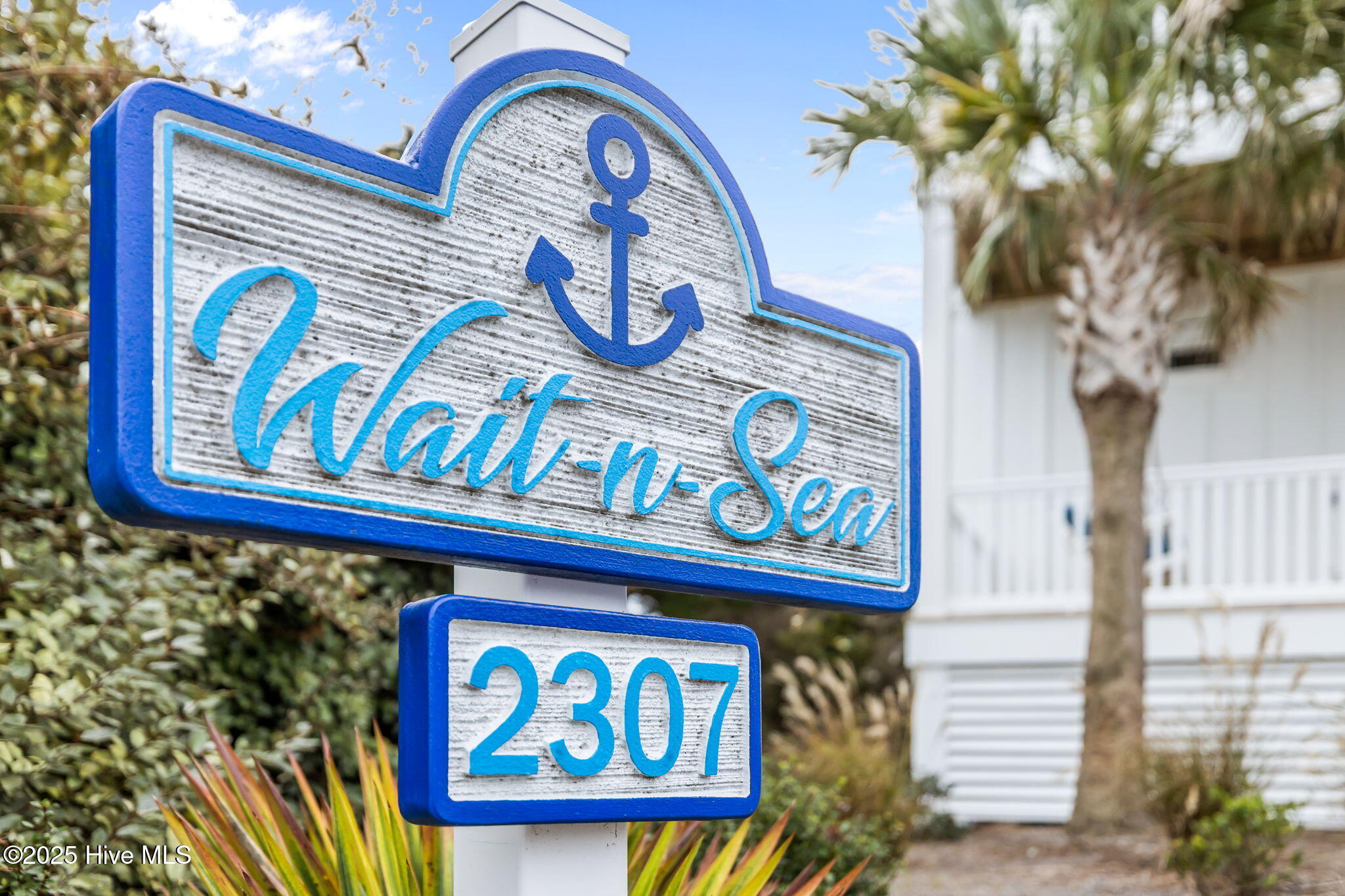 100544208 | Photo 51