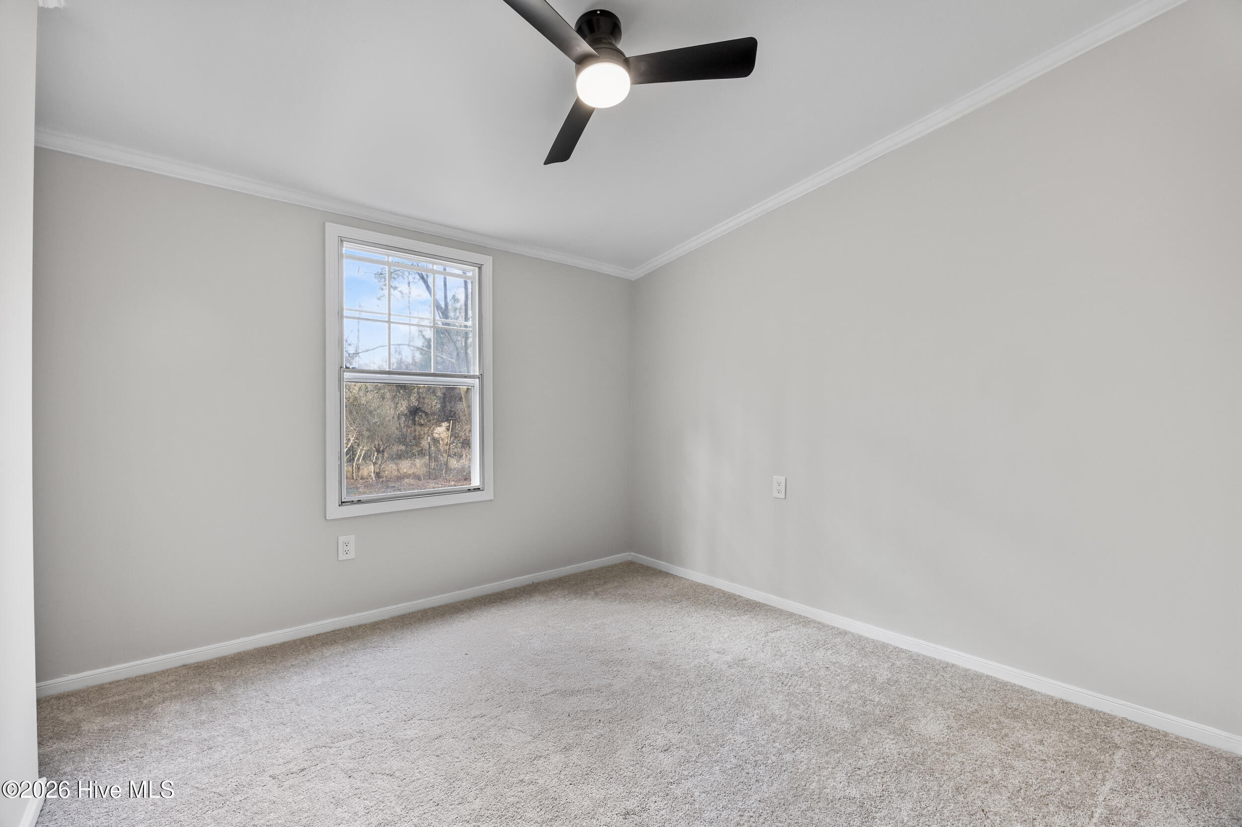 371 Harley Drive, Willard, NC 28478 – photo 23: BR2-1