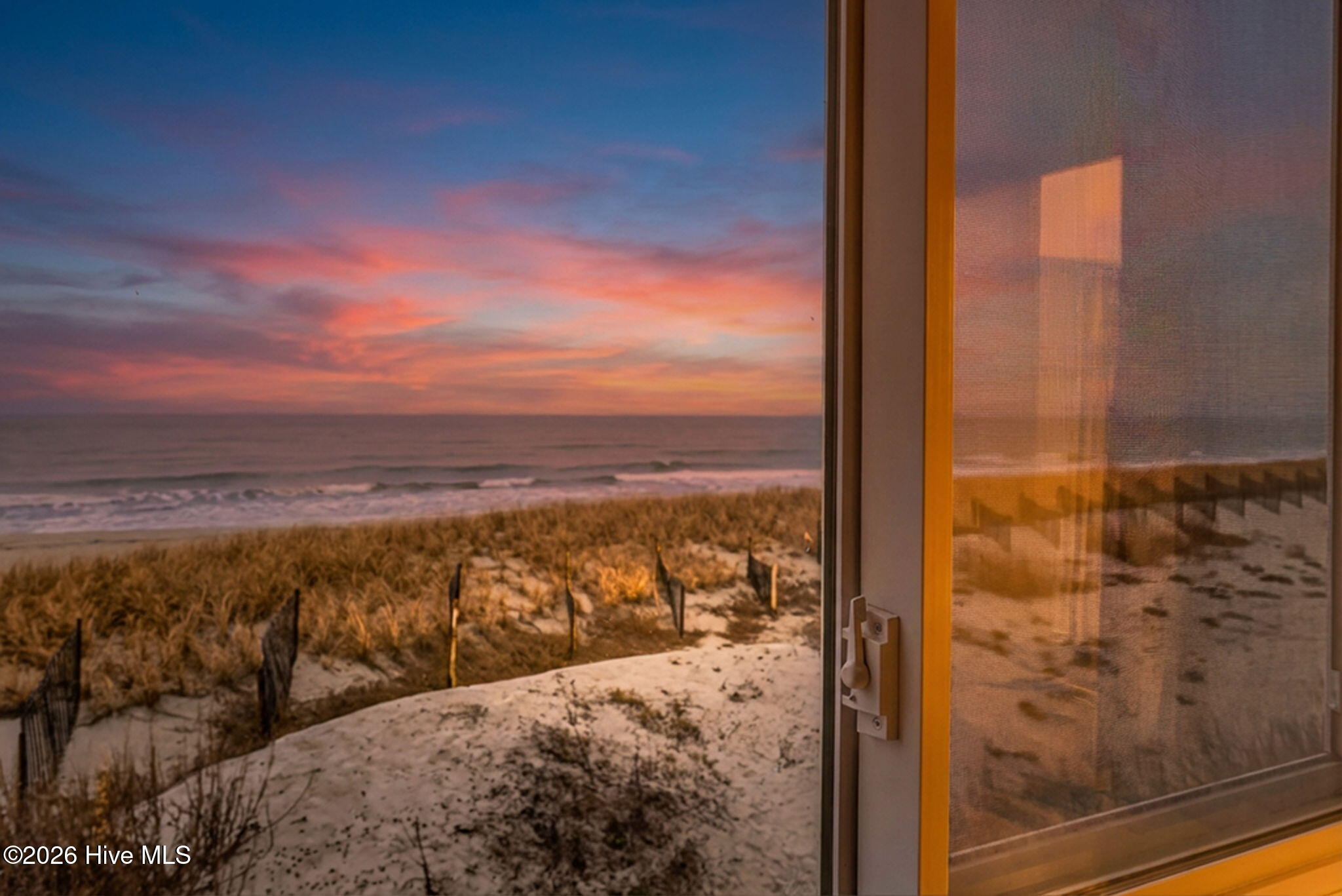 100558118 | Photo 25