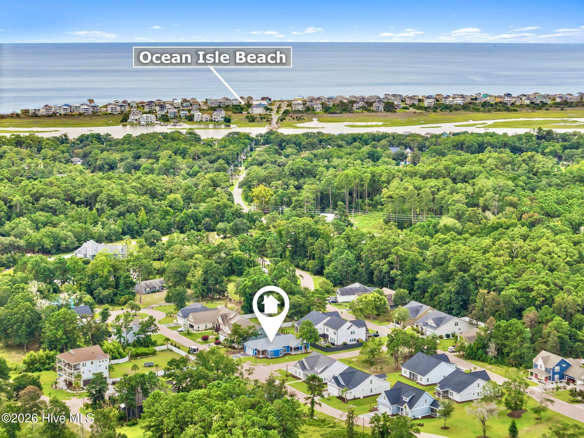 100530218 | Photo 46