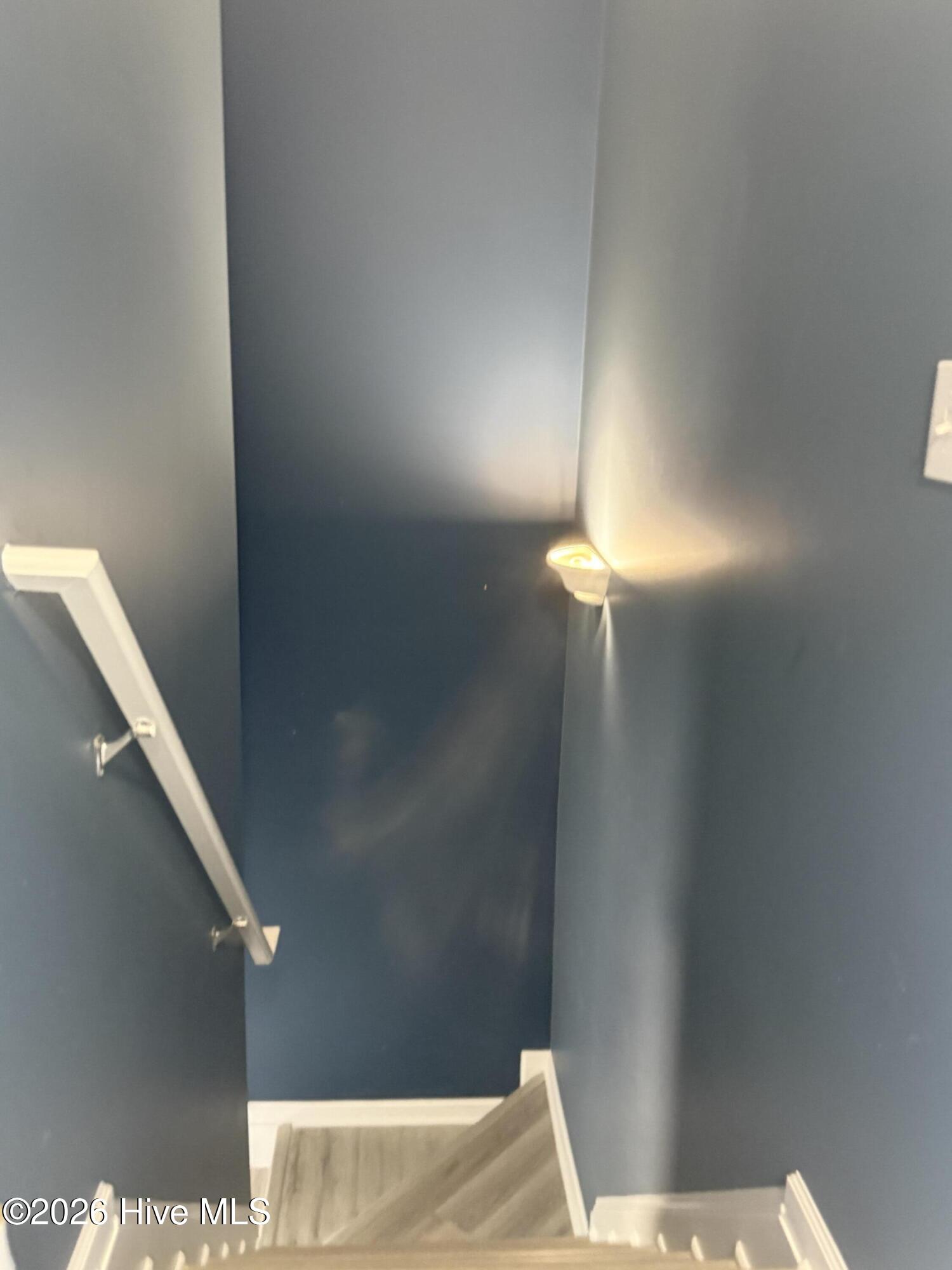 100566517 | Photo 10