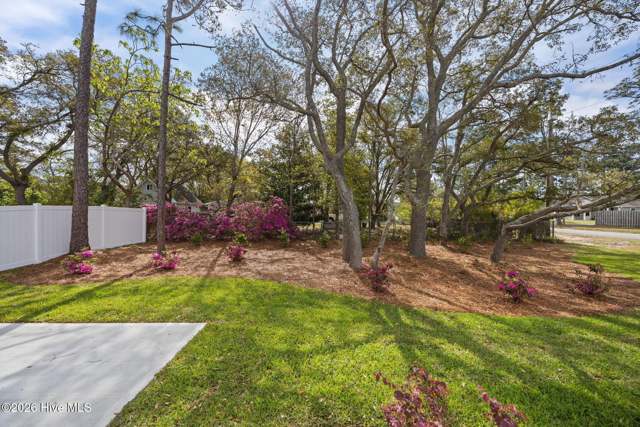 100553165 | Photo 39