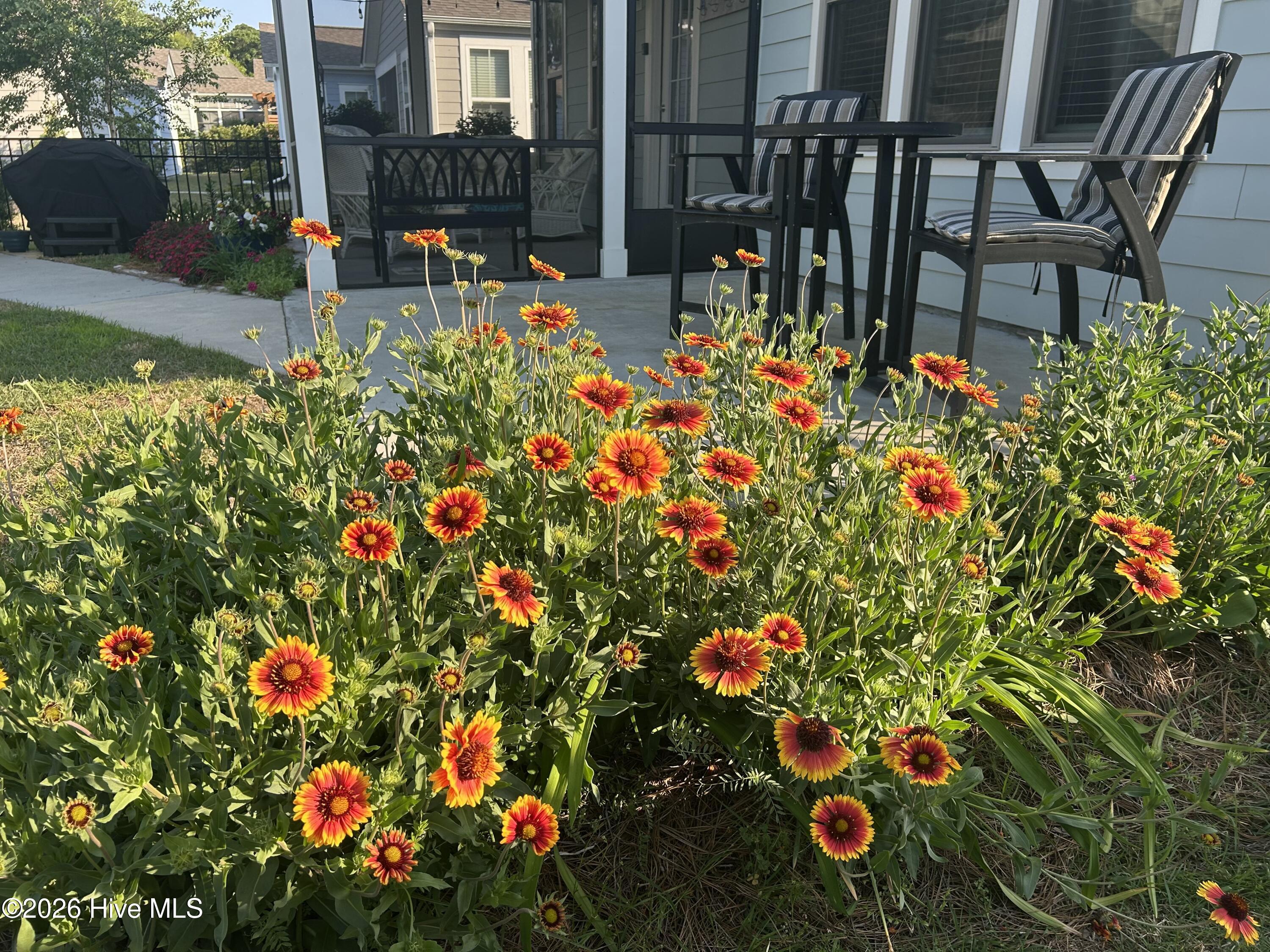 100553997 | Photo 38