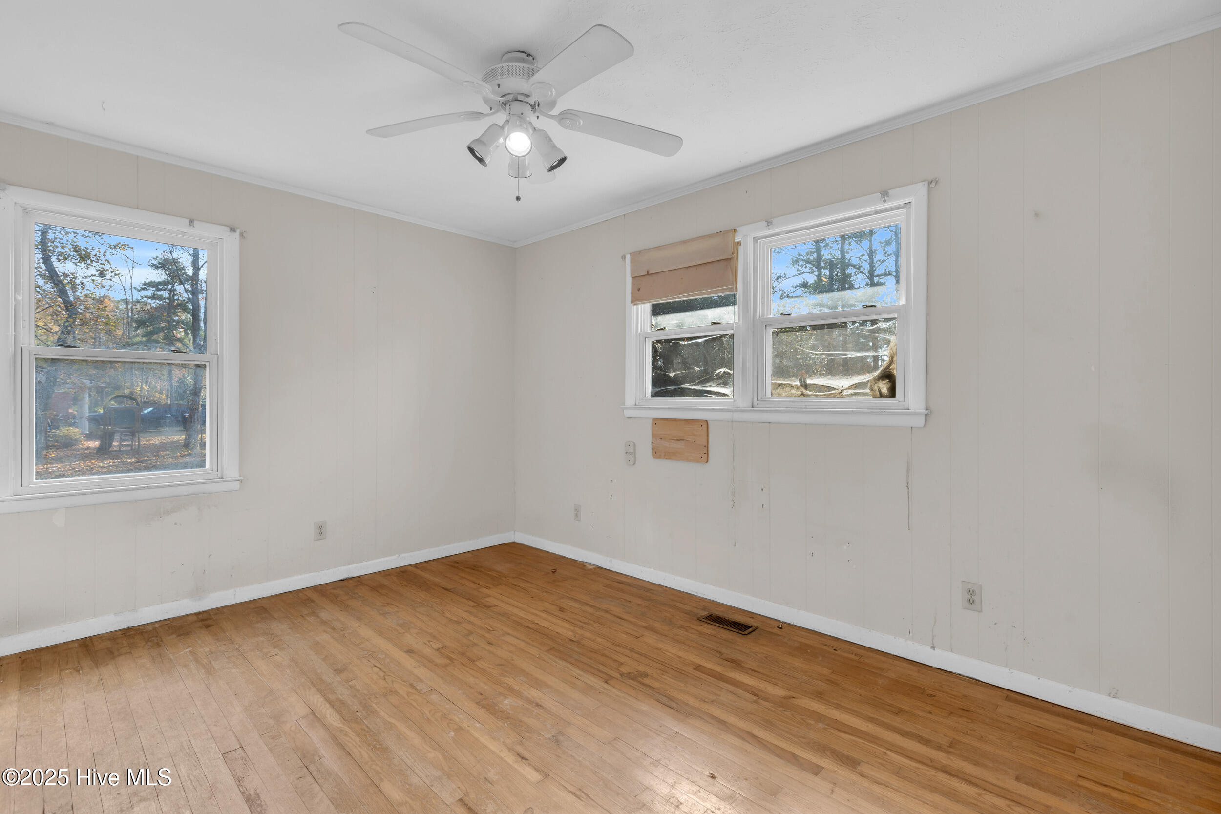 100543256 | Photo 23