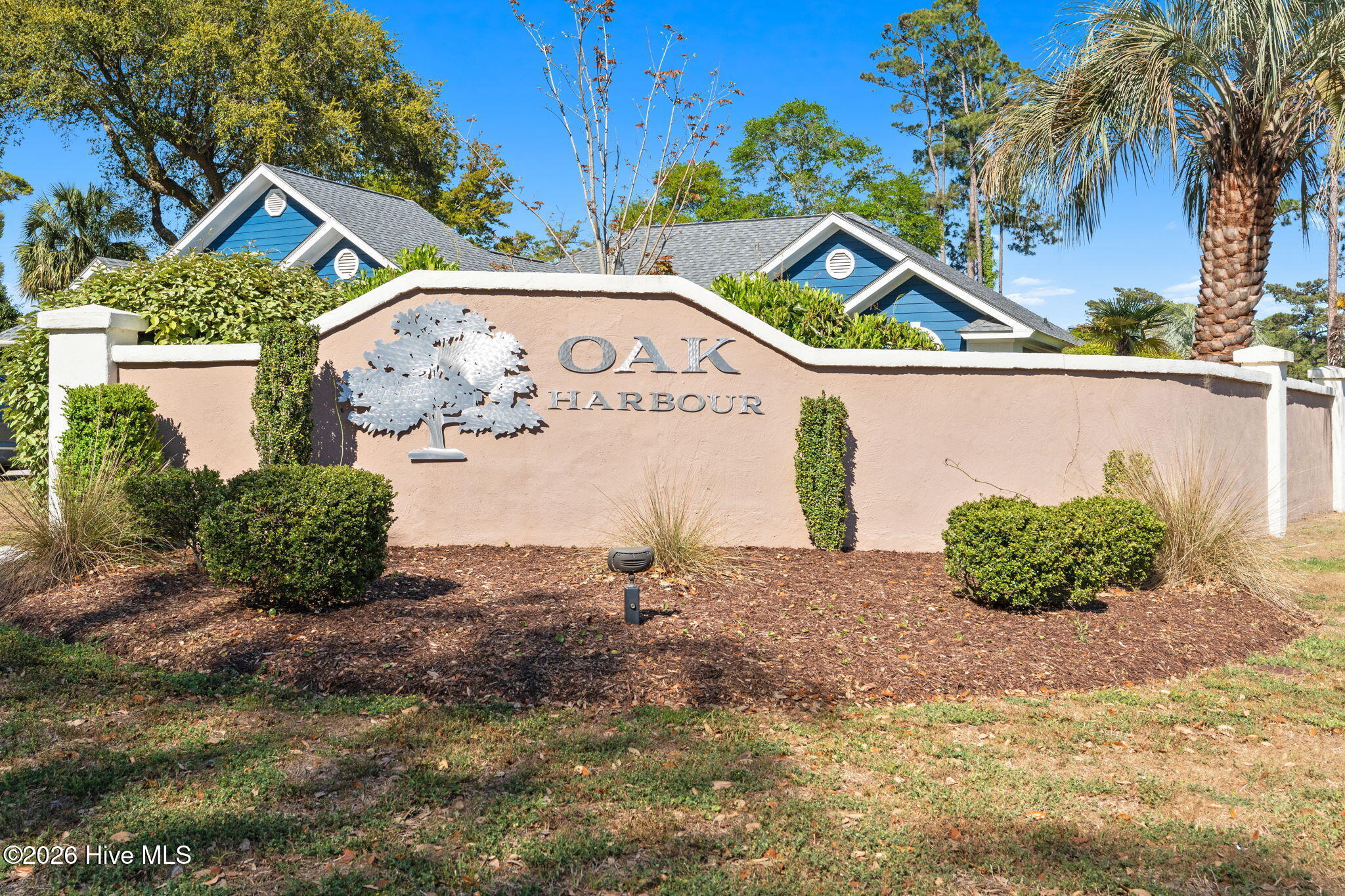 100567853 | Photo 58