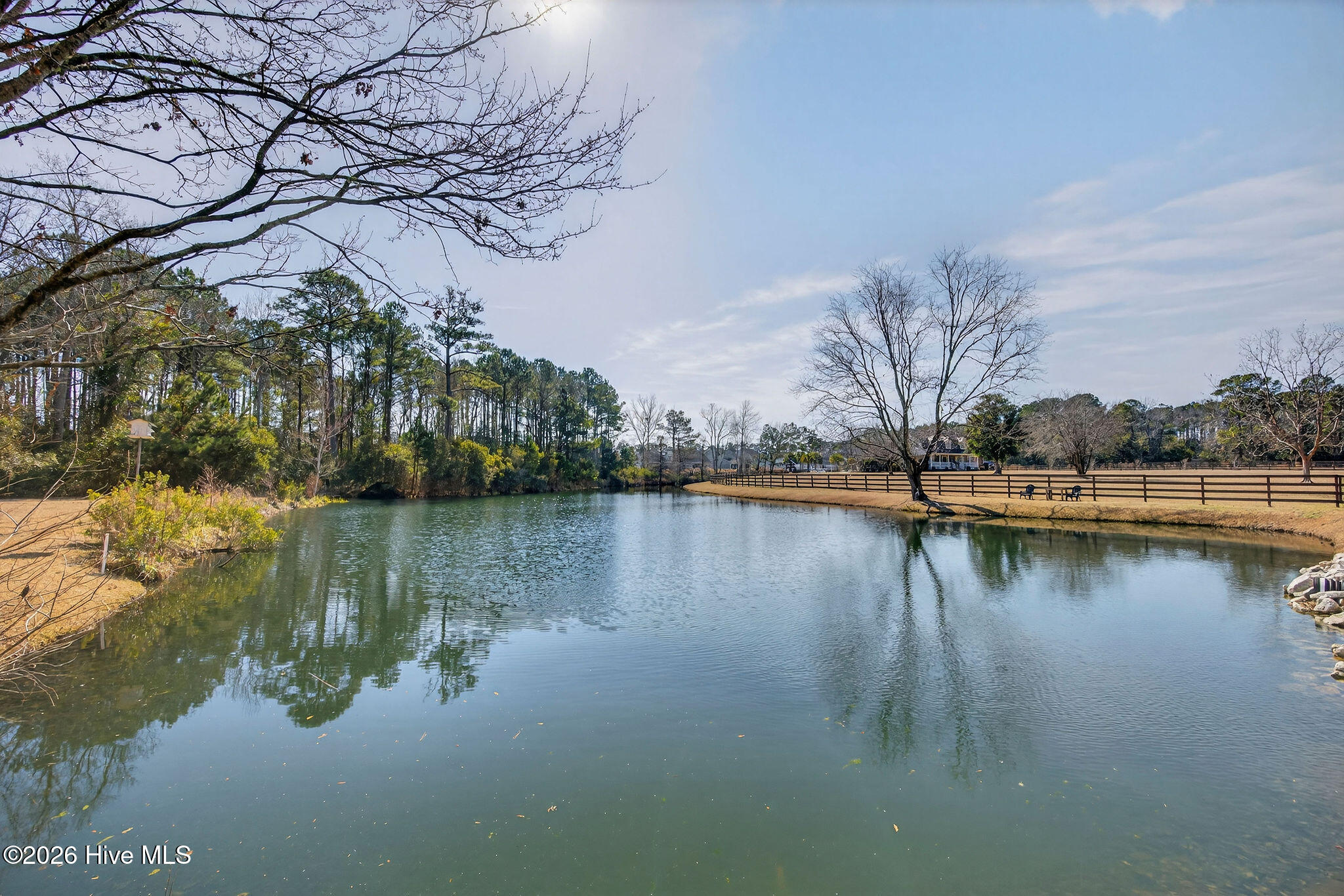 100554164 | Photo 22