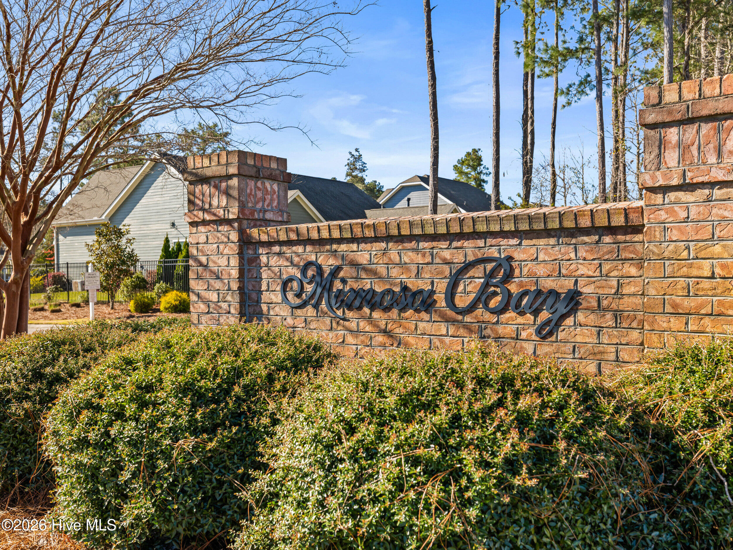 100565919 | Photo 59