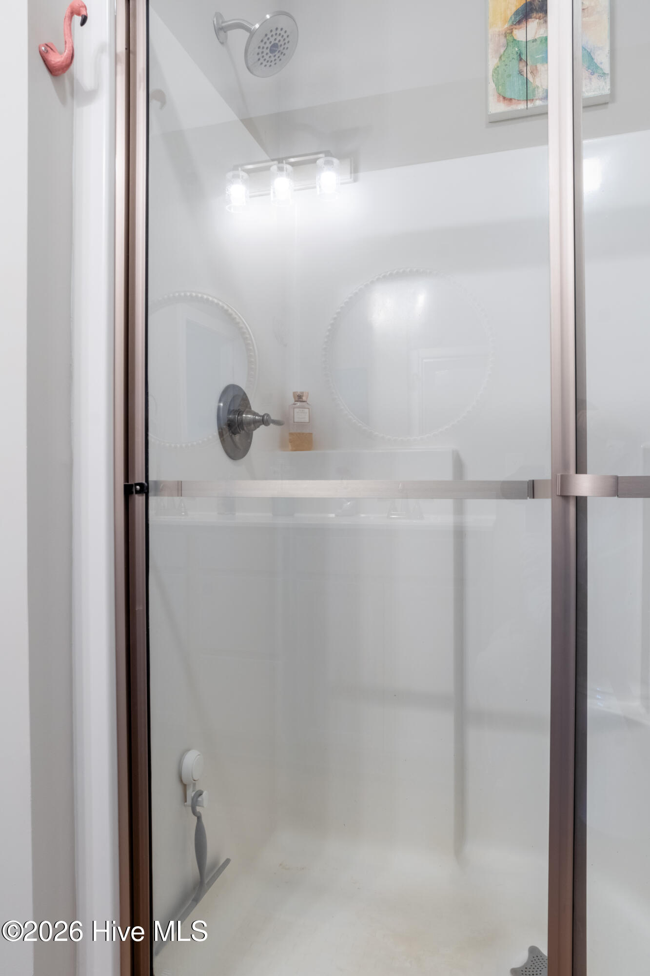 100557212 | Photo 29