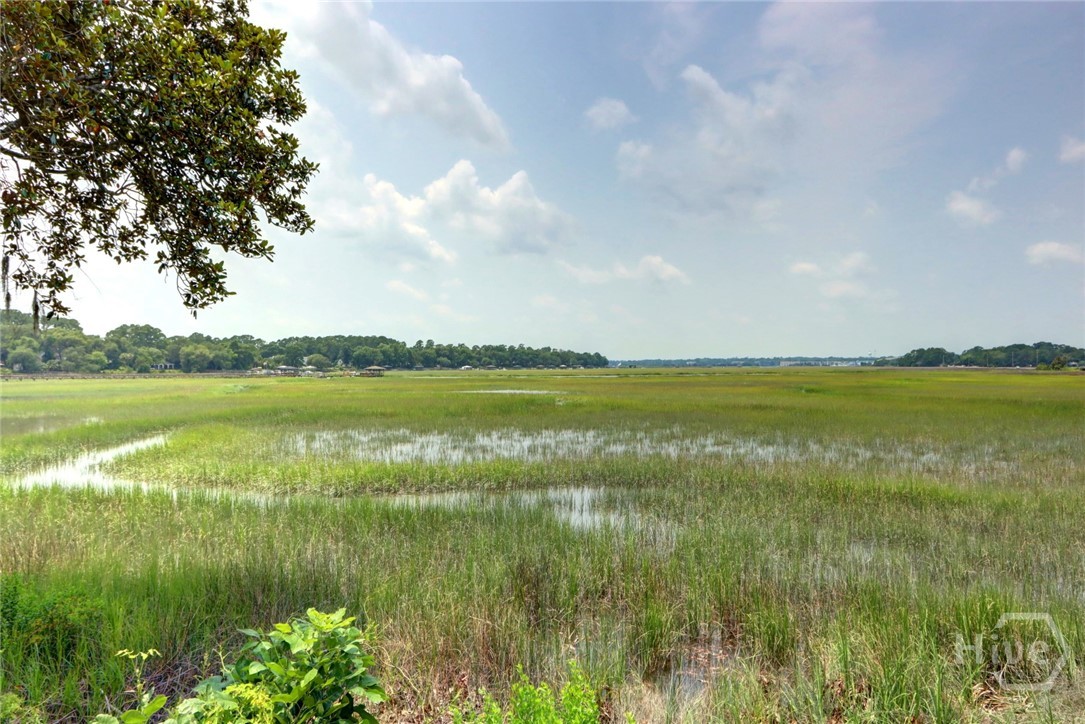 Marshview for miles, Grays creek