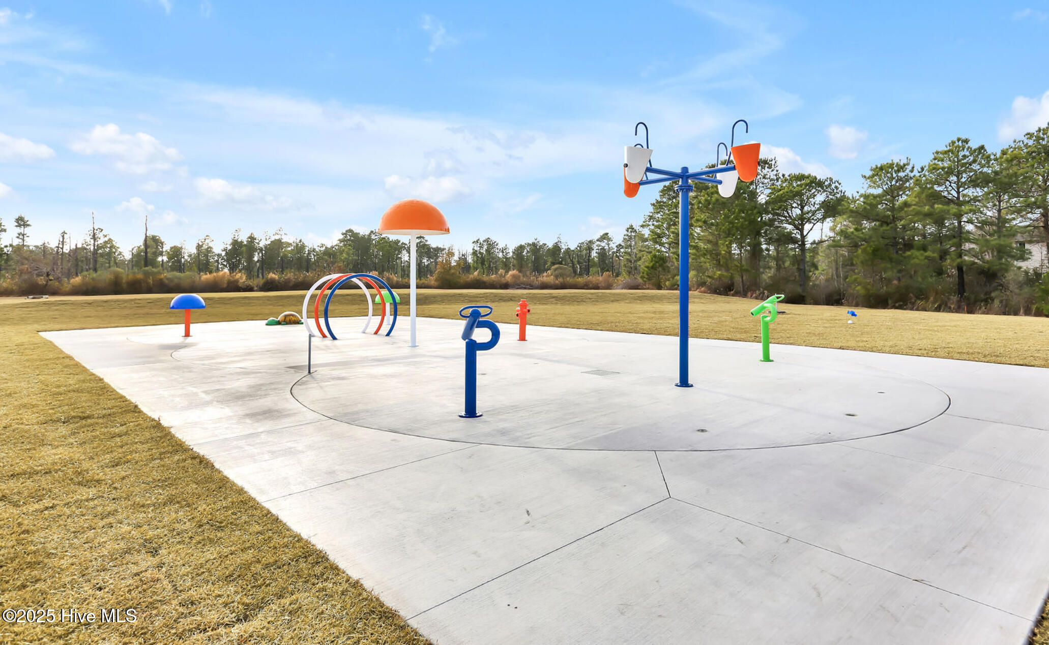 100547163 | Photo 48