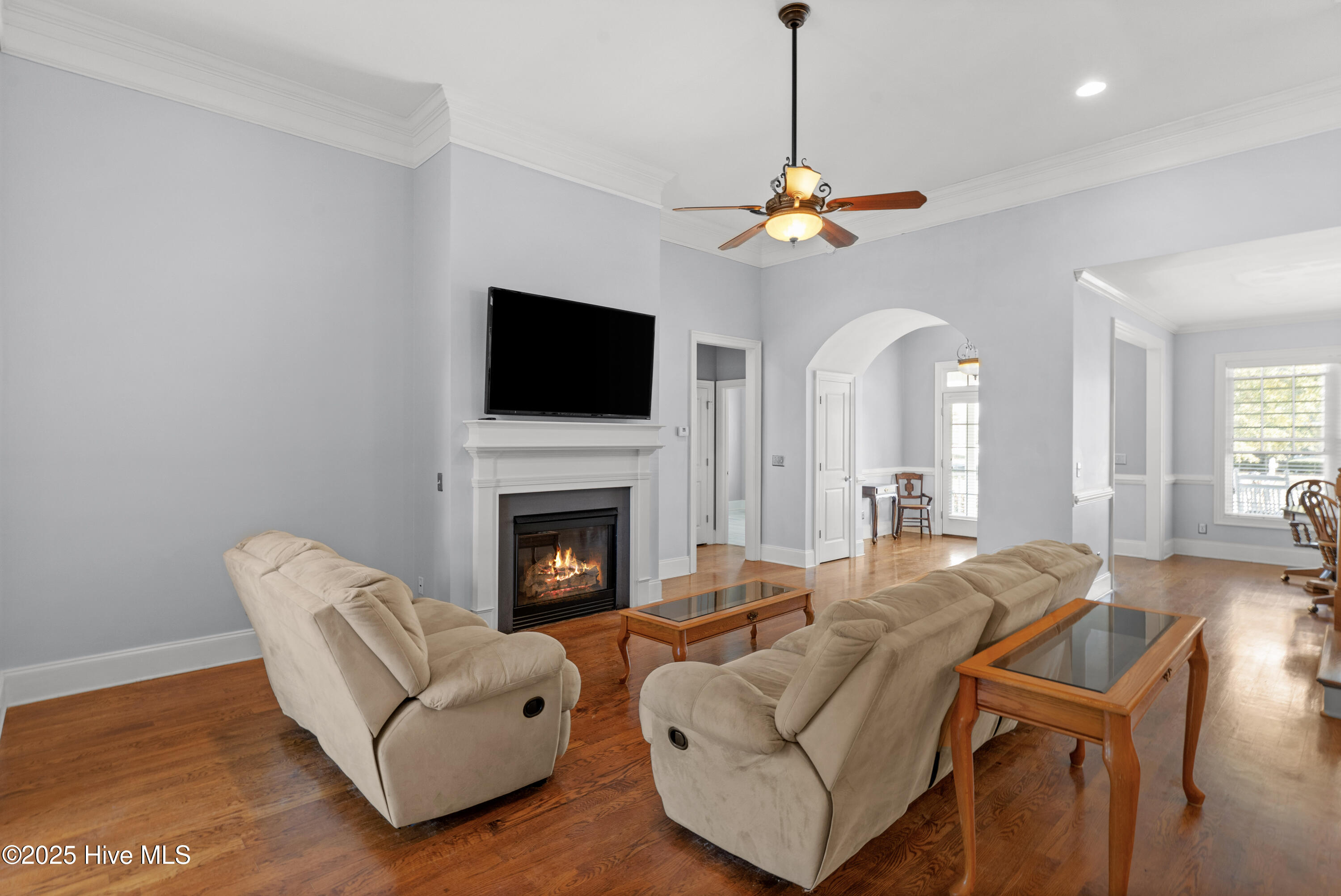 100538387 | Photo 15