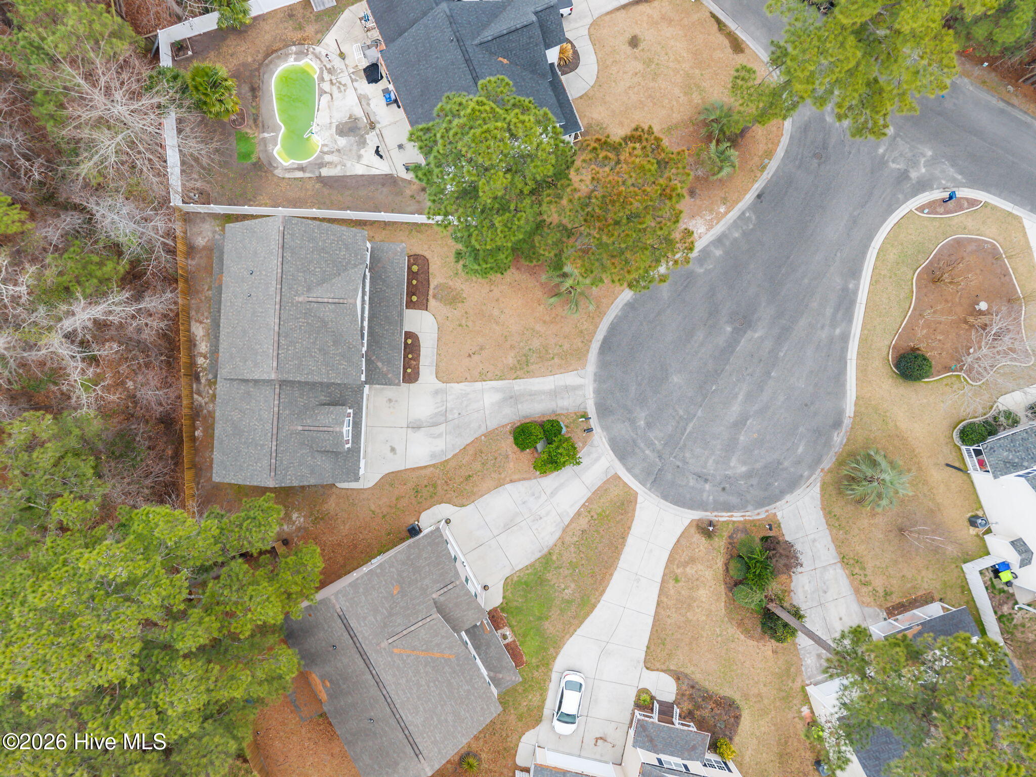 100558076 | Photo 52