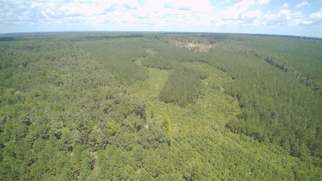 00 Augusta Highway, Dearing, GA 30808 Listing Photo  11