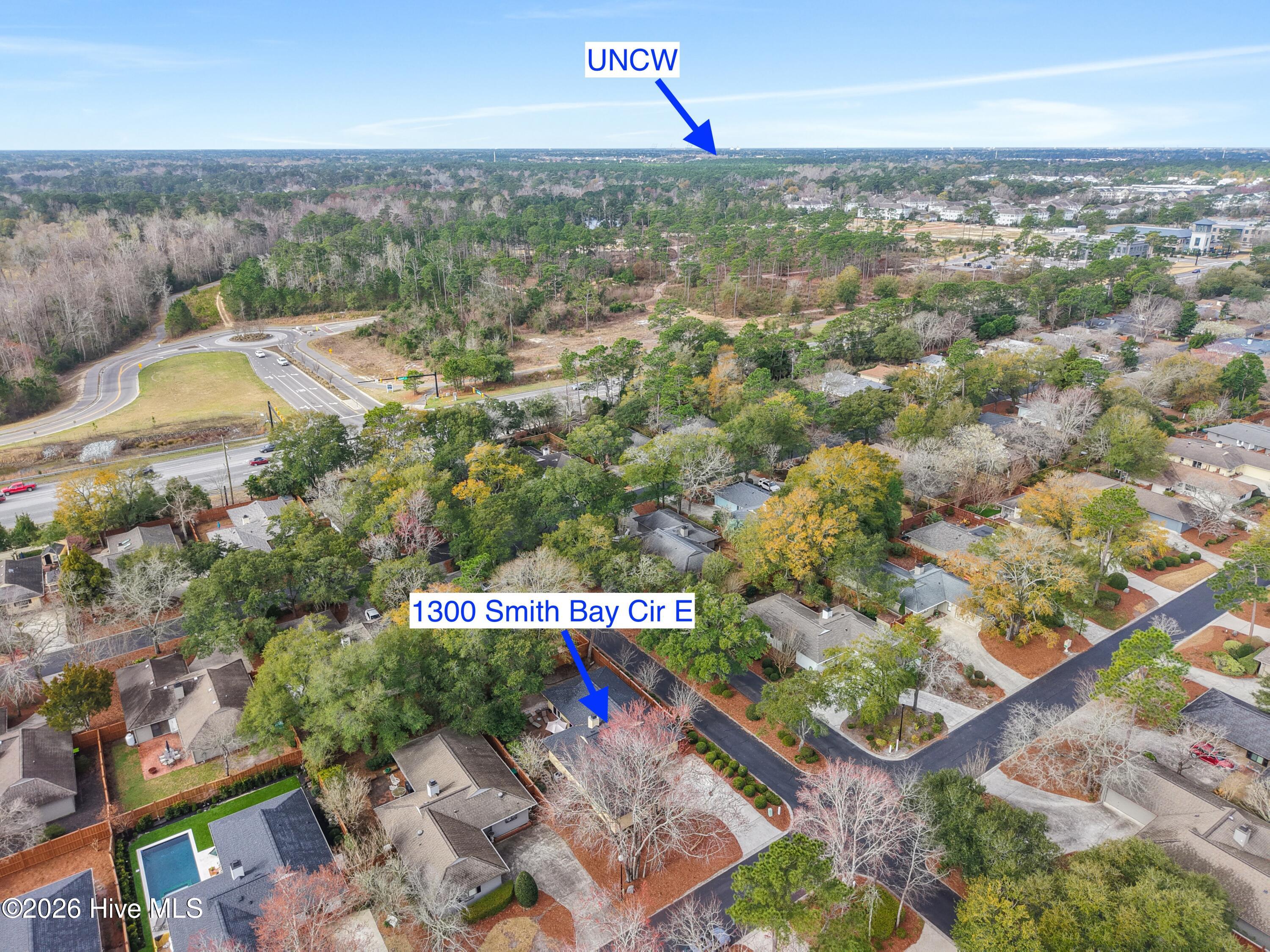 100558002 | Photo 51