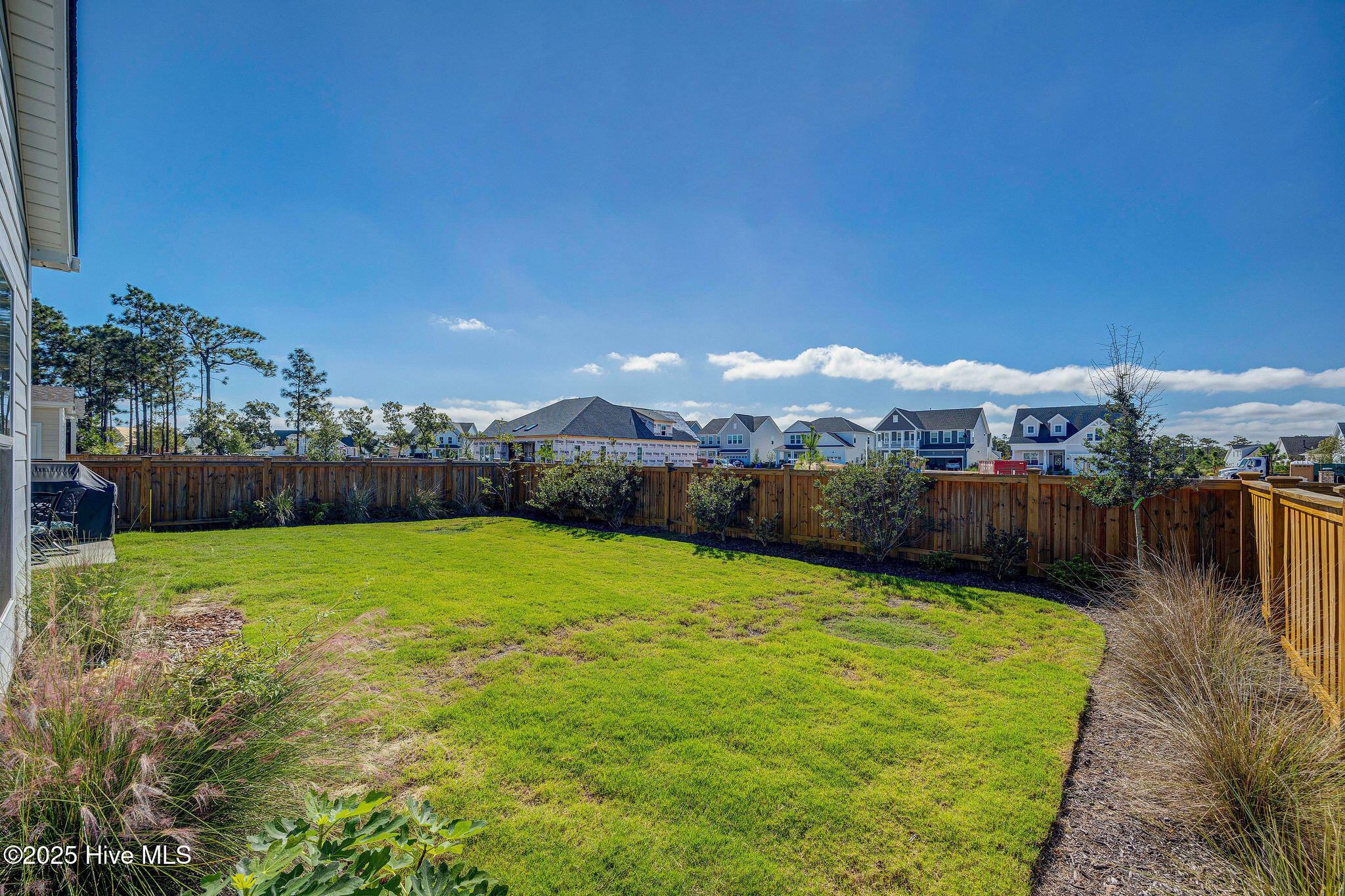 100534106 | Photo 36