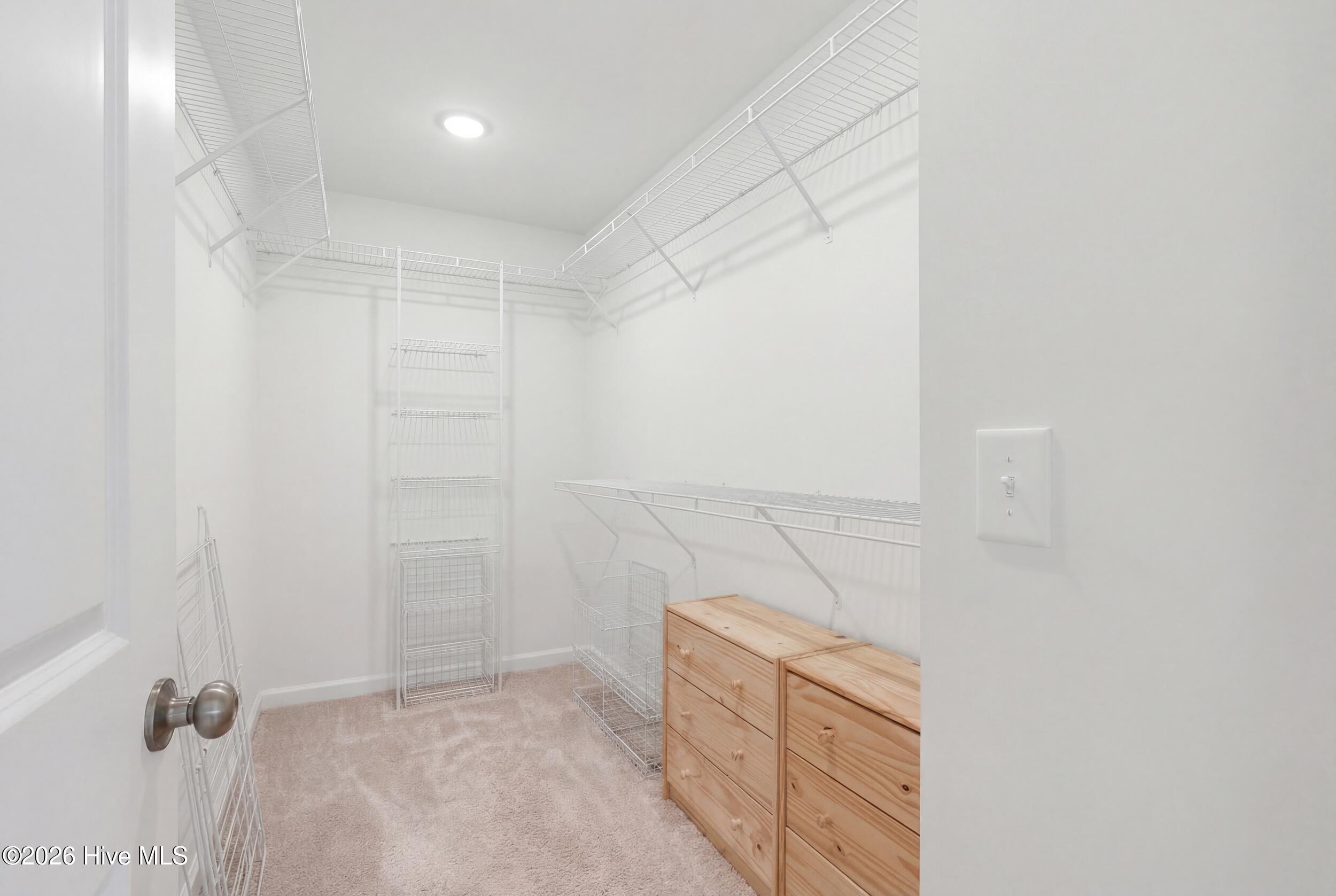 100559477 | Photo 27